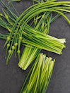a bunch of green onions laying on top of a table