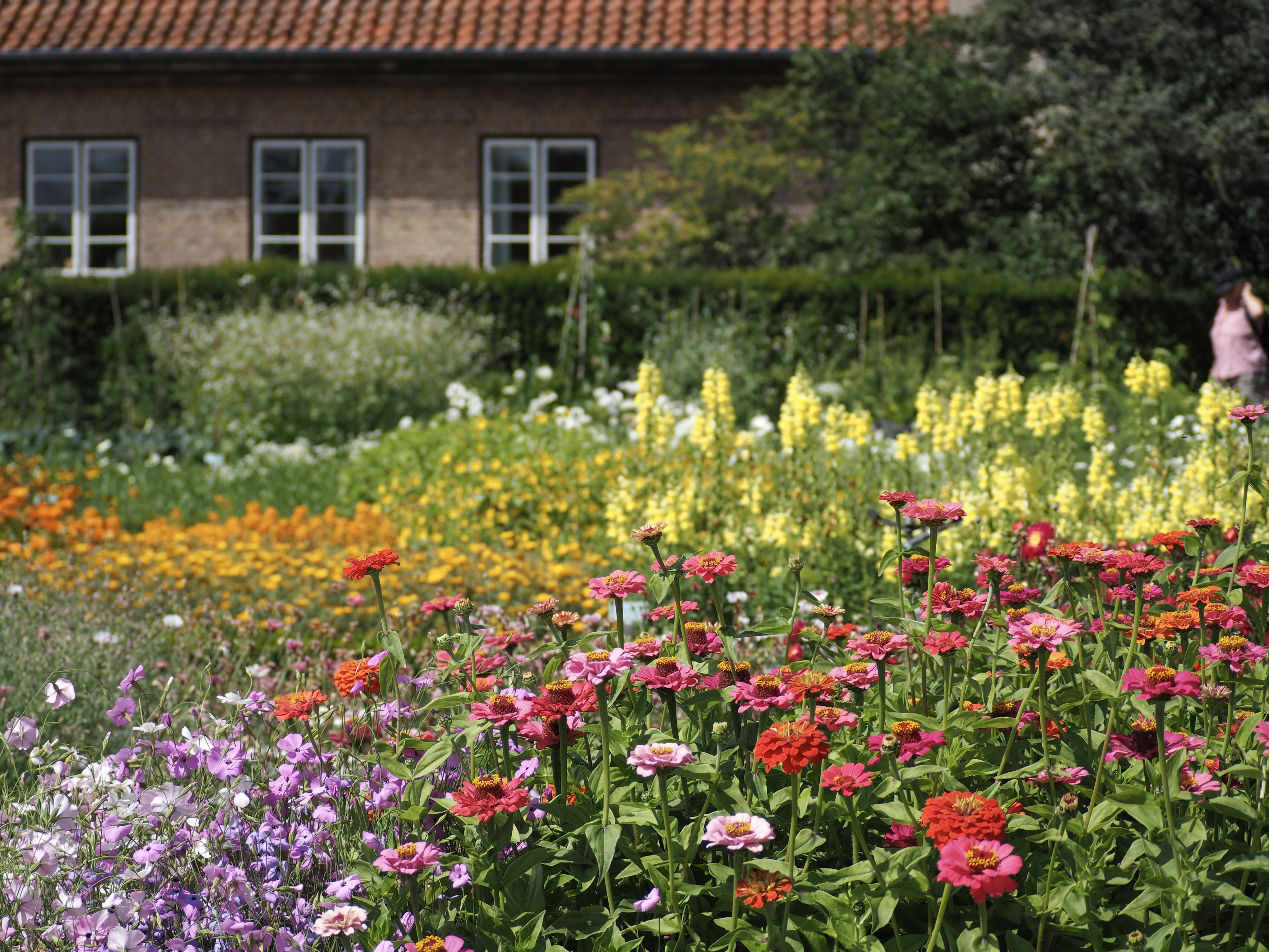 Kruidtuin