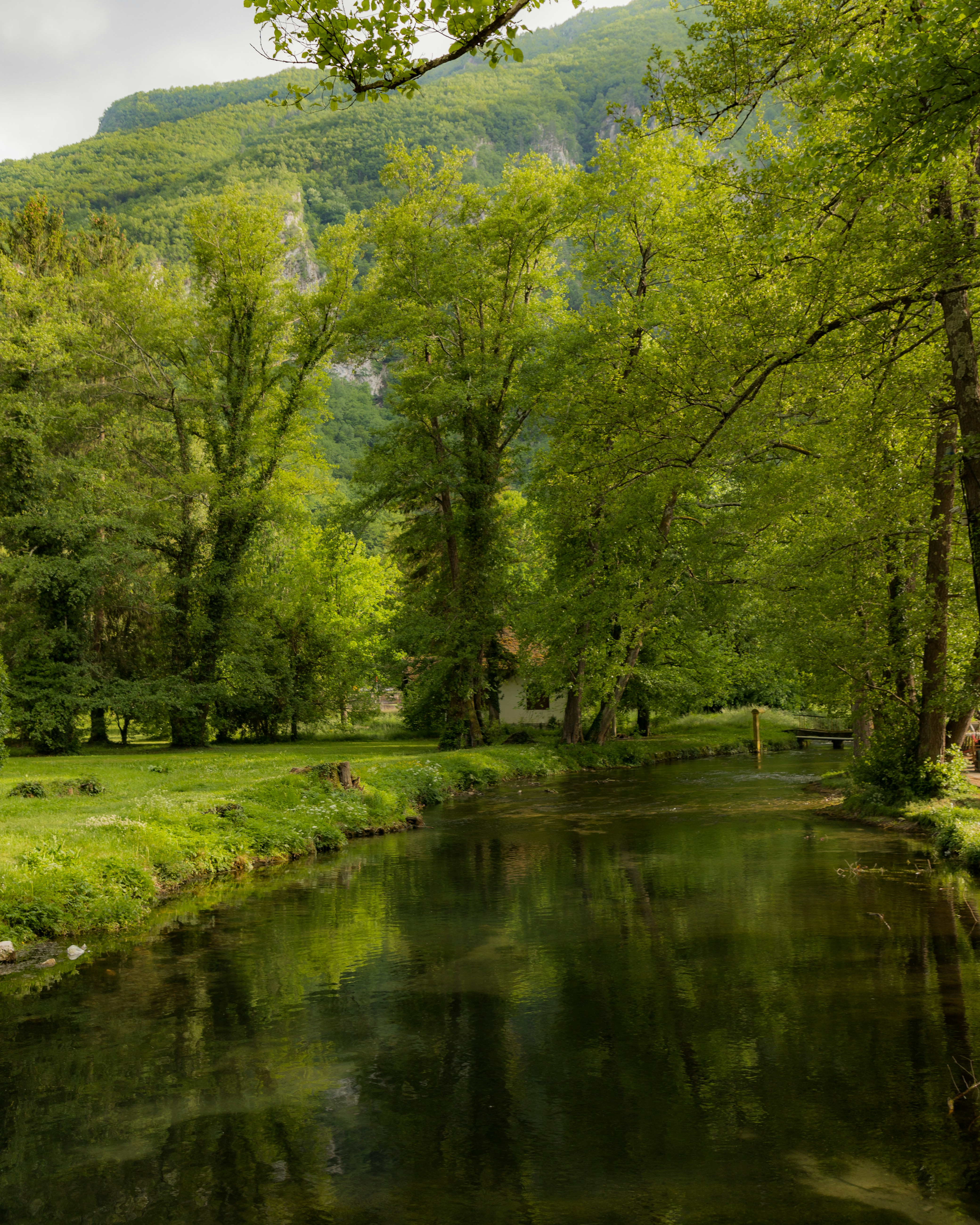 Vrelo Bosne photo 3