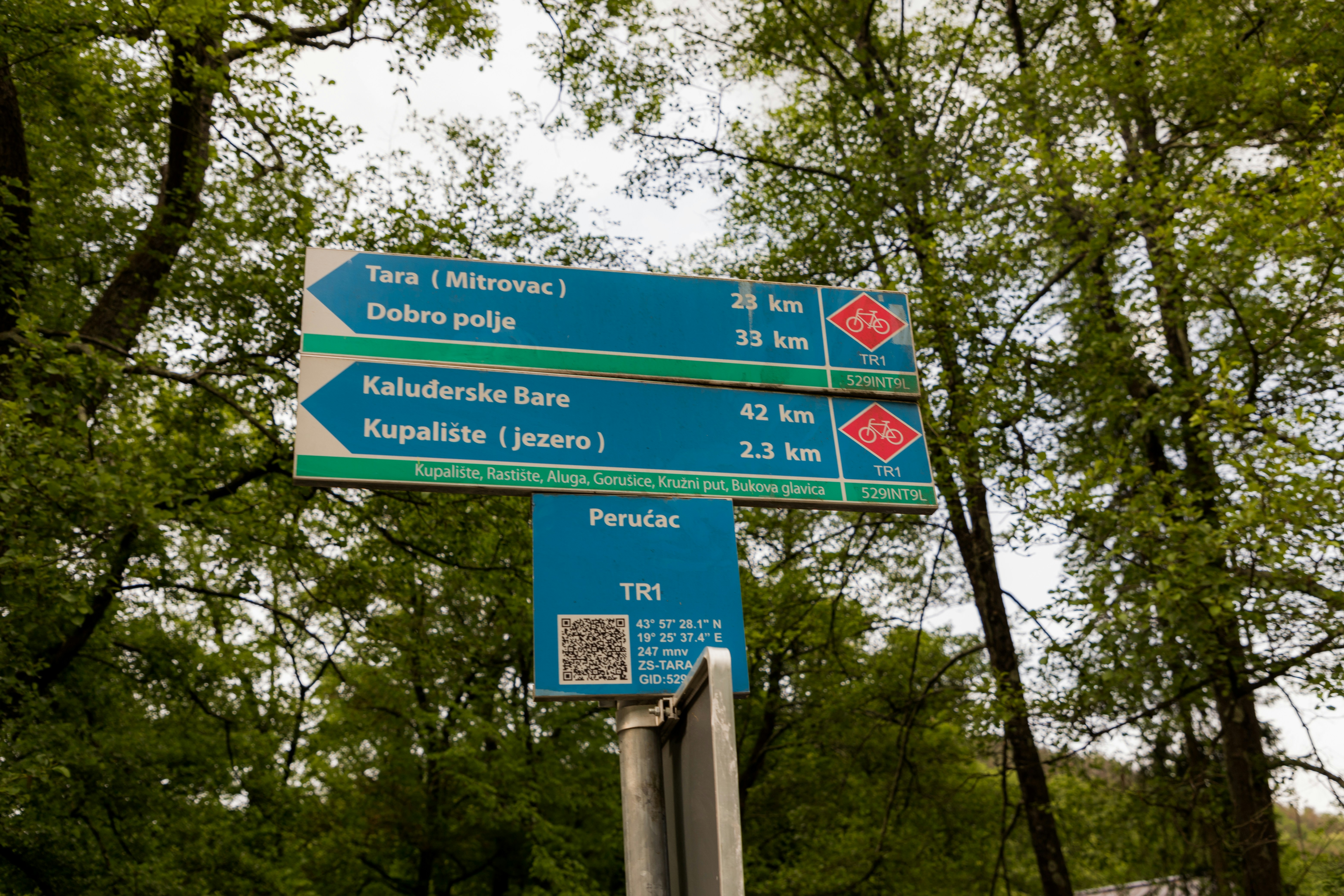 Photo by jovanvasiljevic