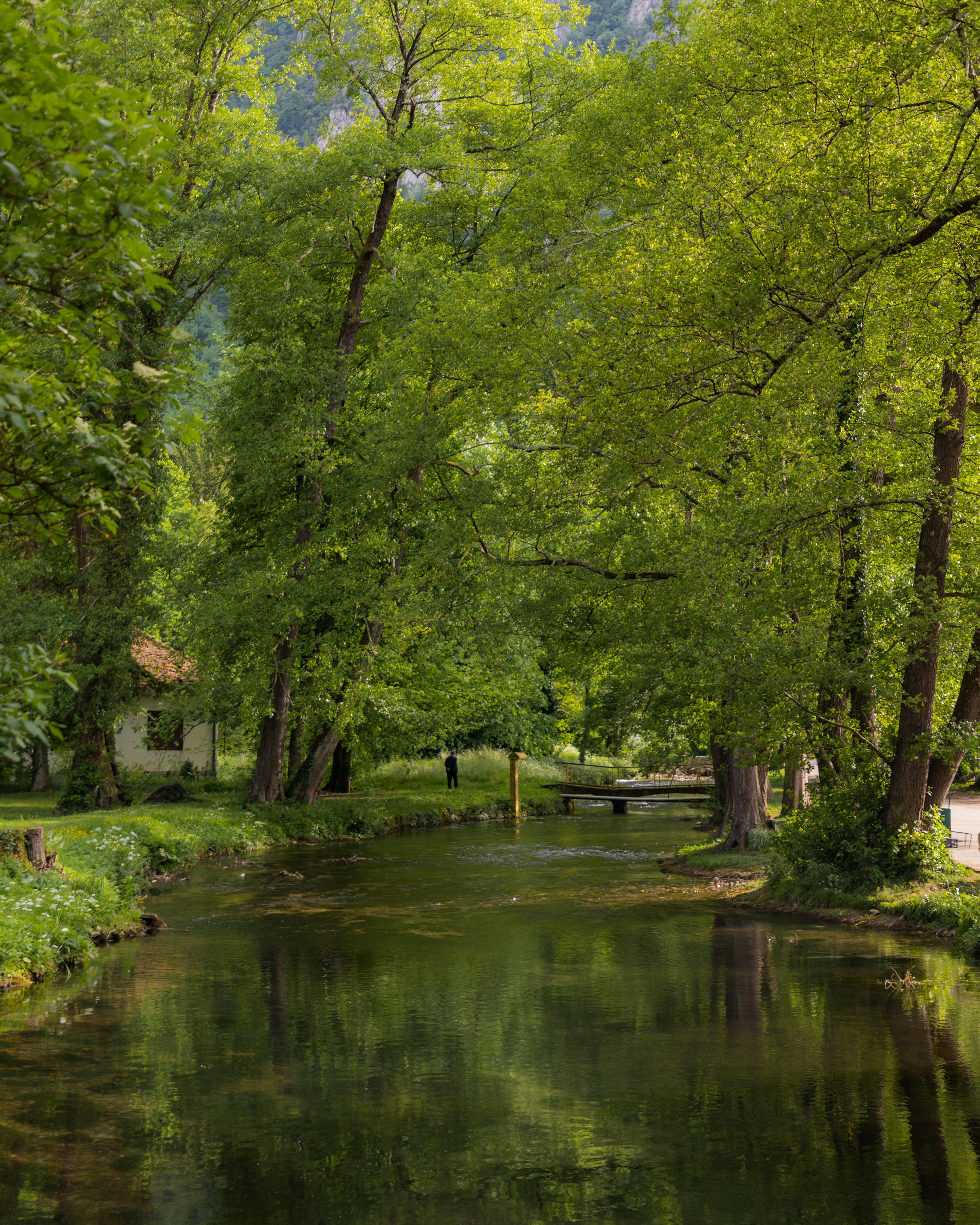 Photo by jovanvasiljevic