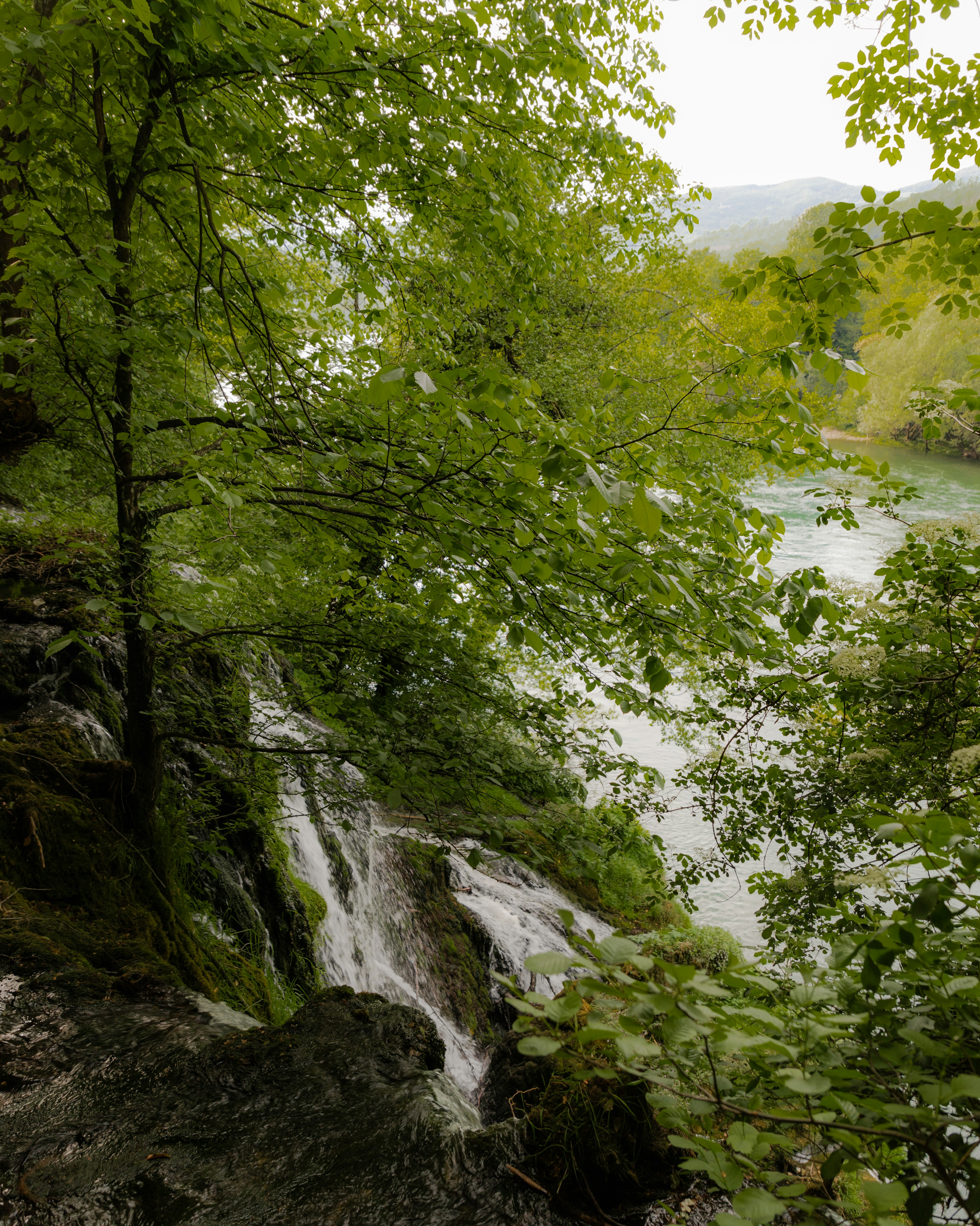 Photo by jovanvasiljevic