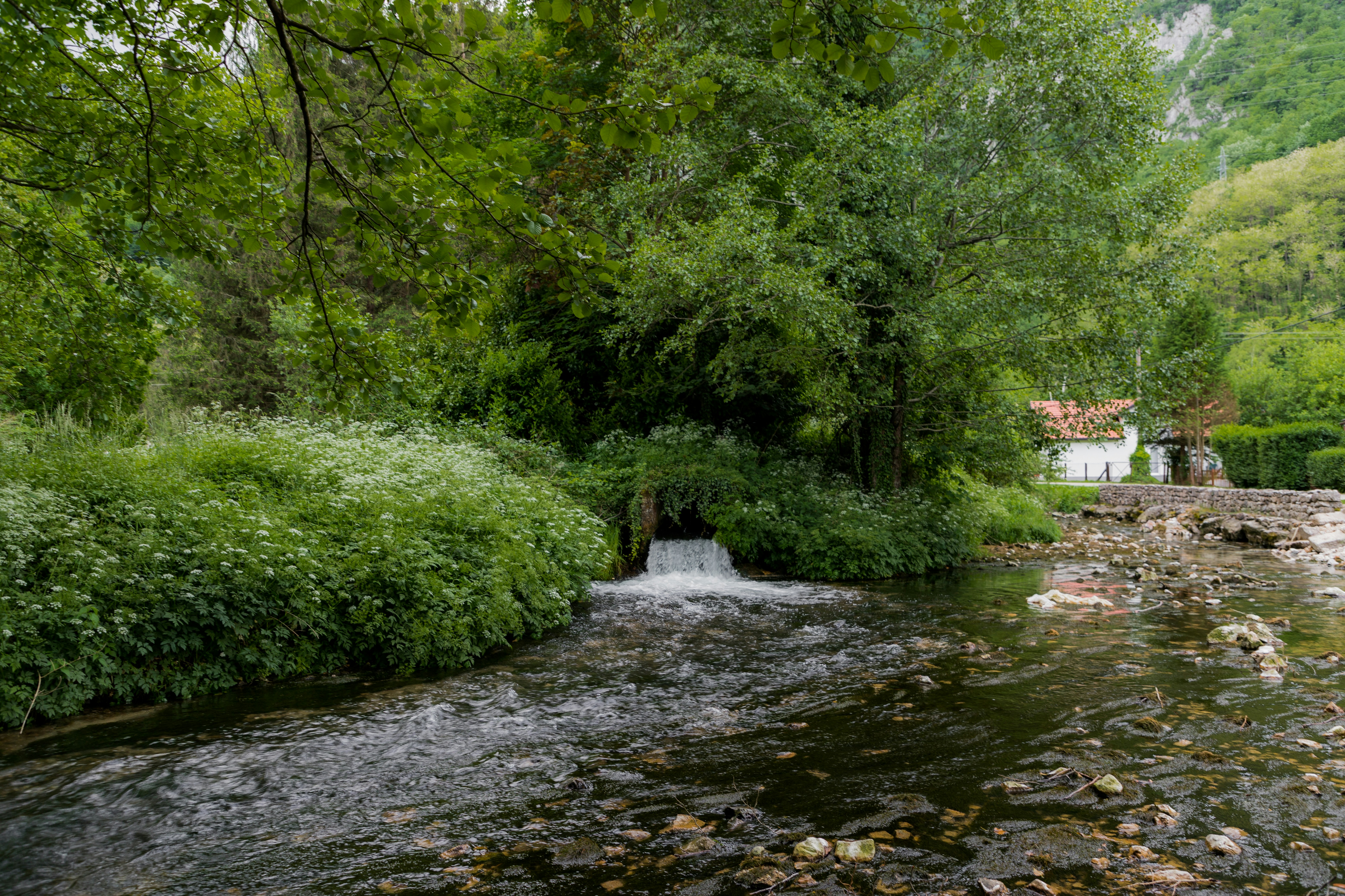 Photo by jovanvasiljevic