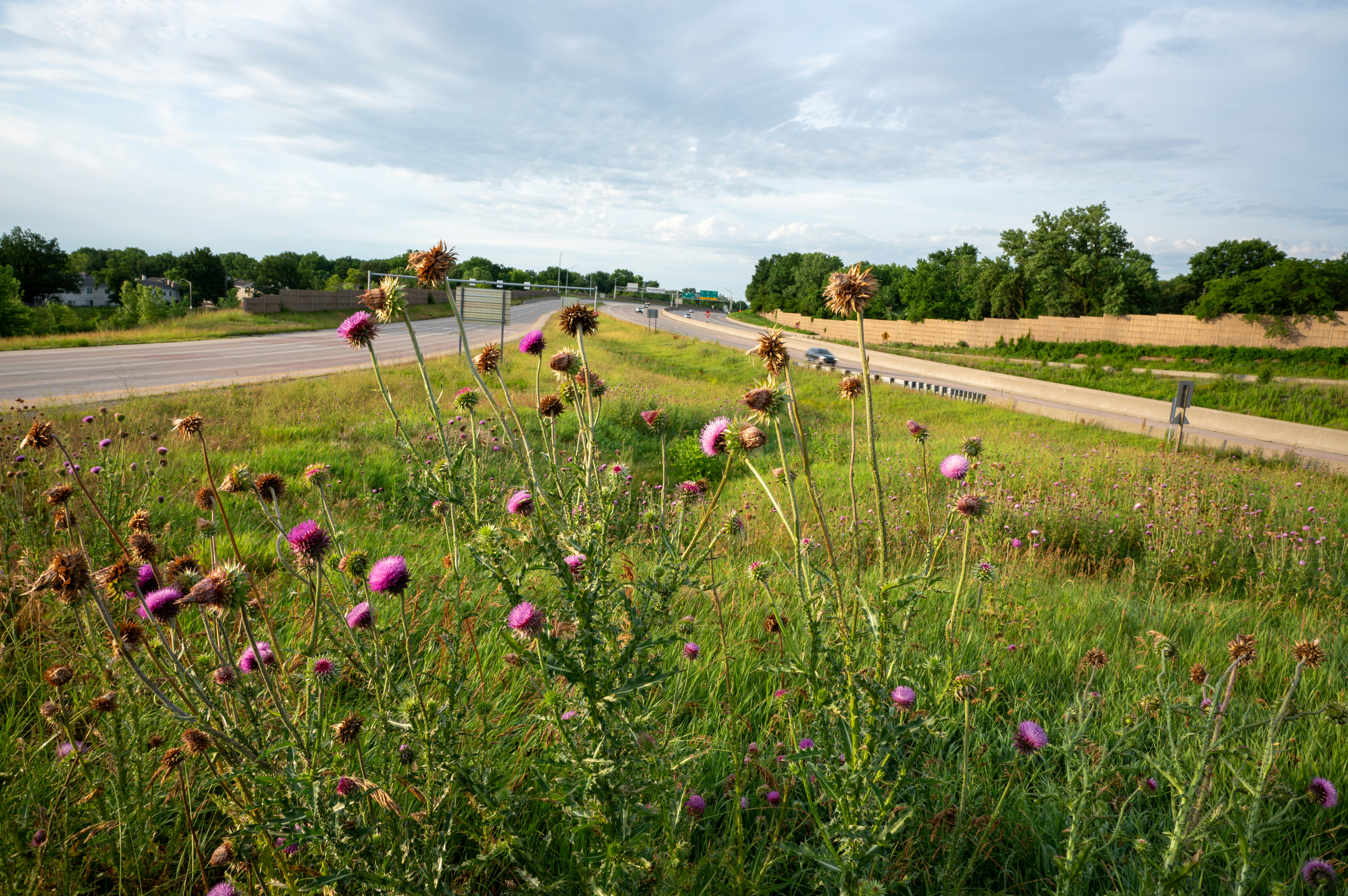 Prairie Park