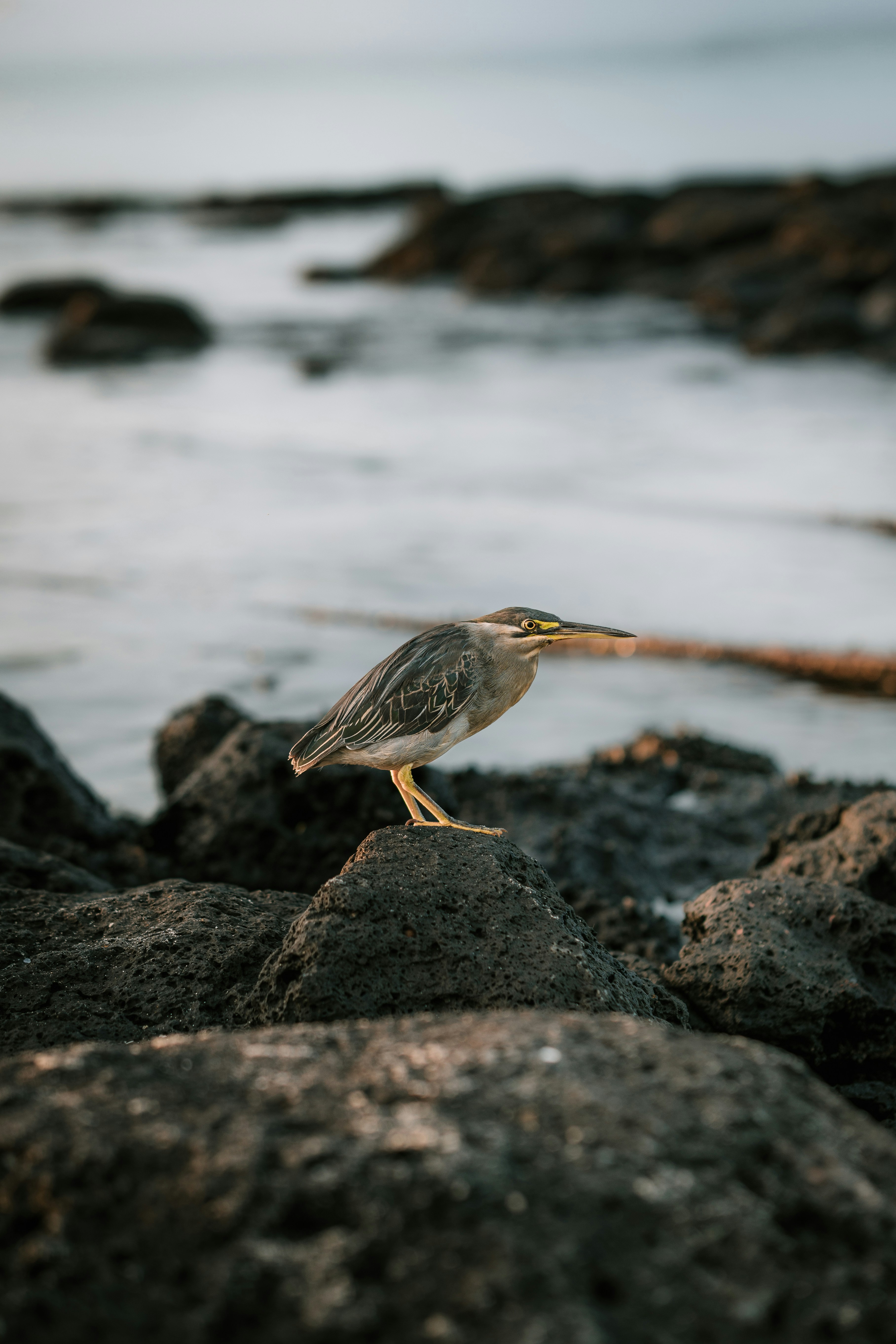 Photo by electerious