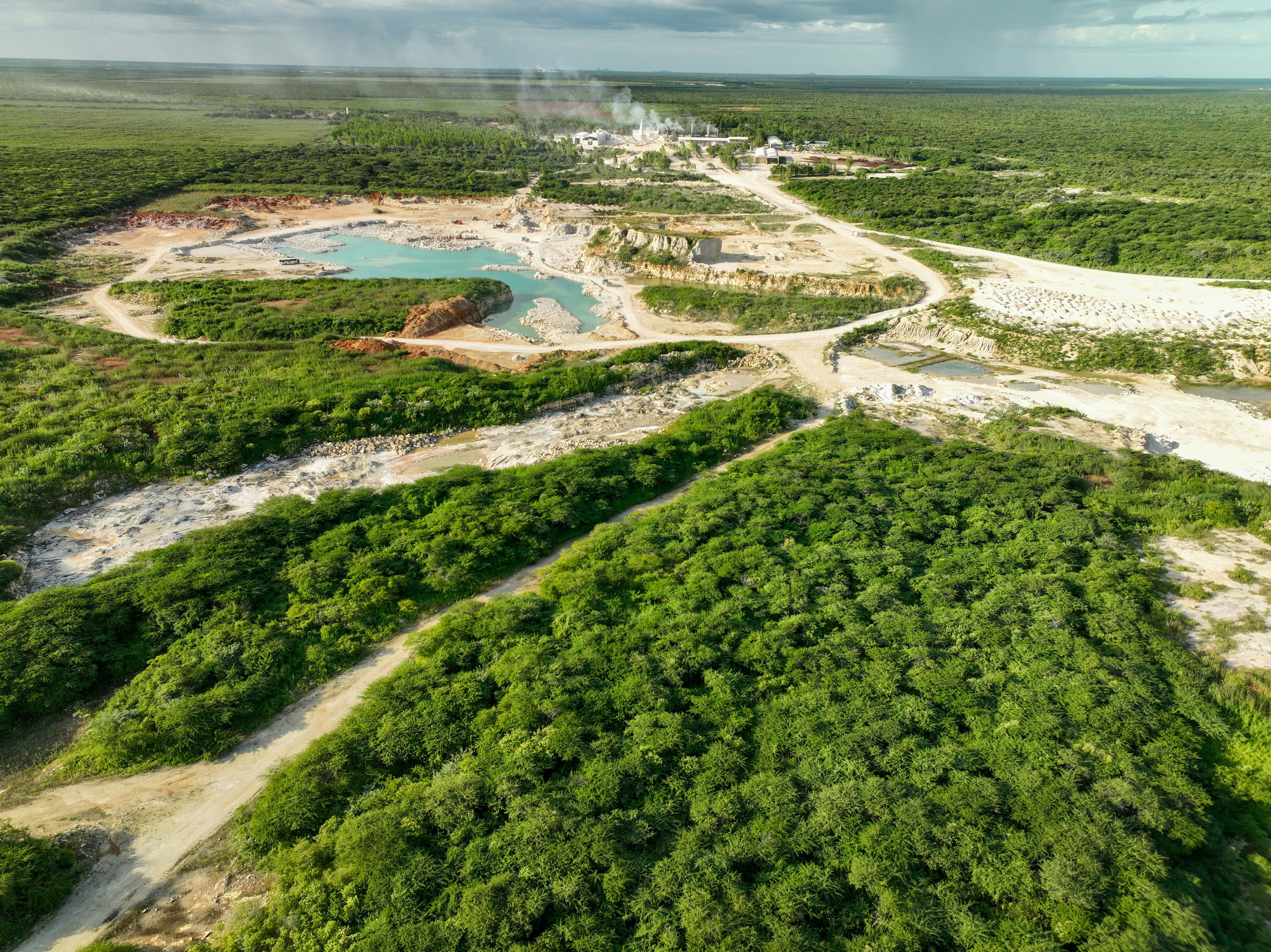 Mining pressure threatens large areas of the Brazilian Amazon (Level A1)