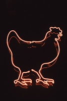 a neon sign of a chicken on a black background