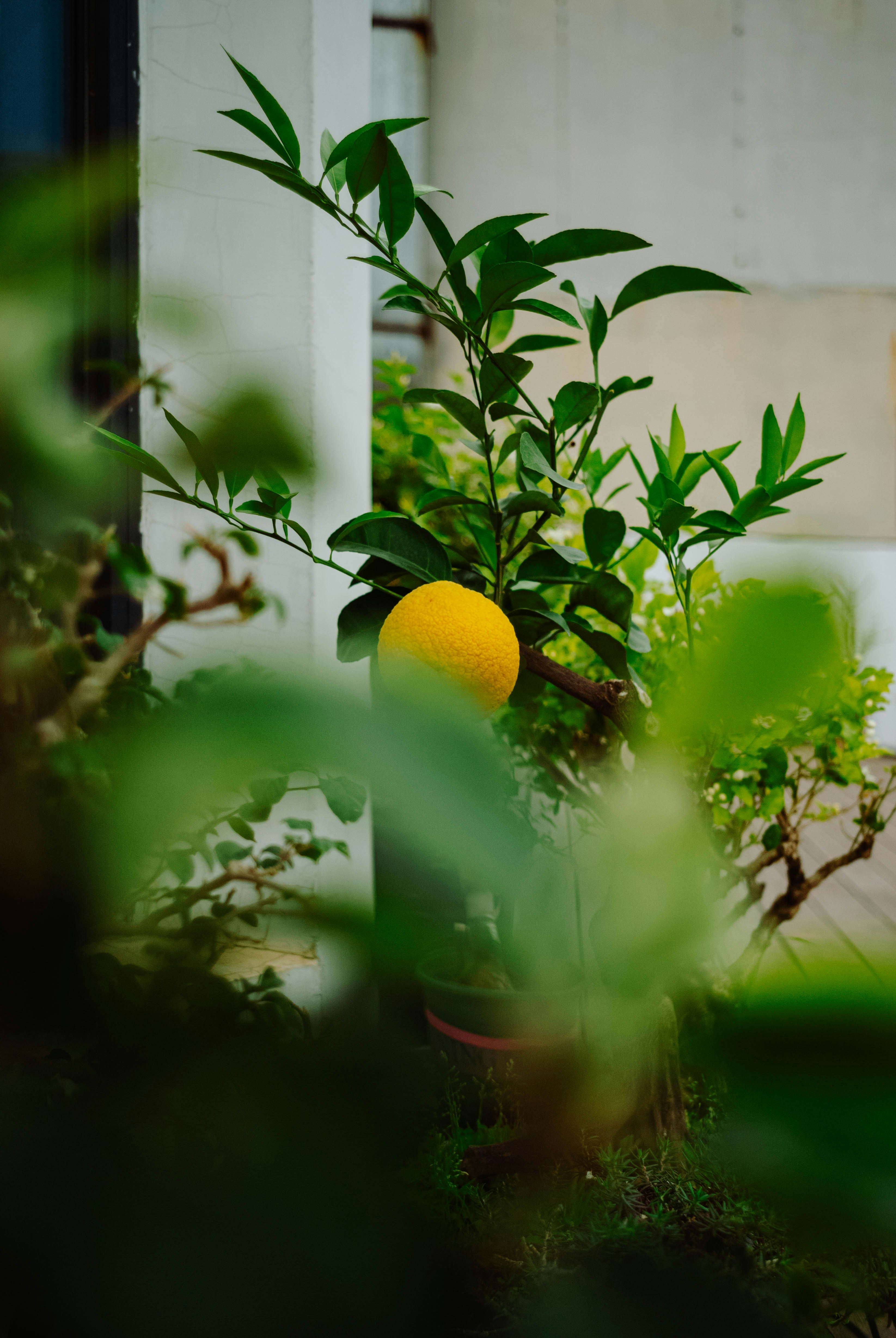 Photo by tommaomaoer