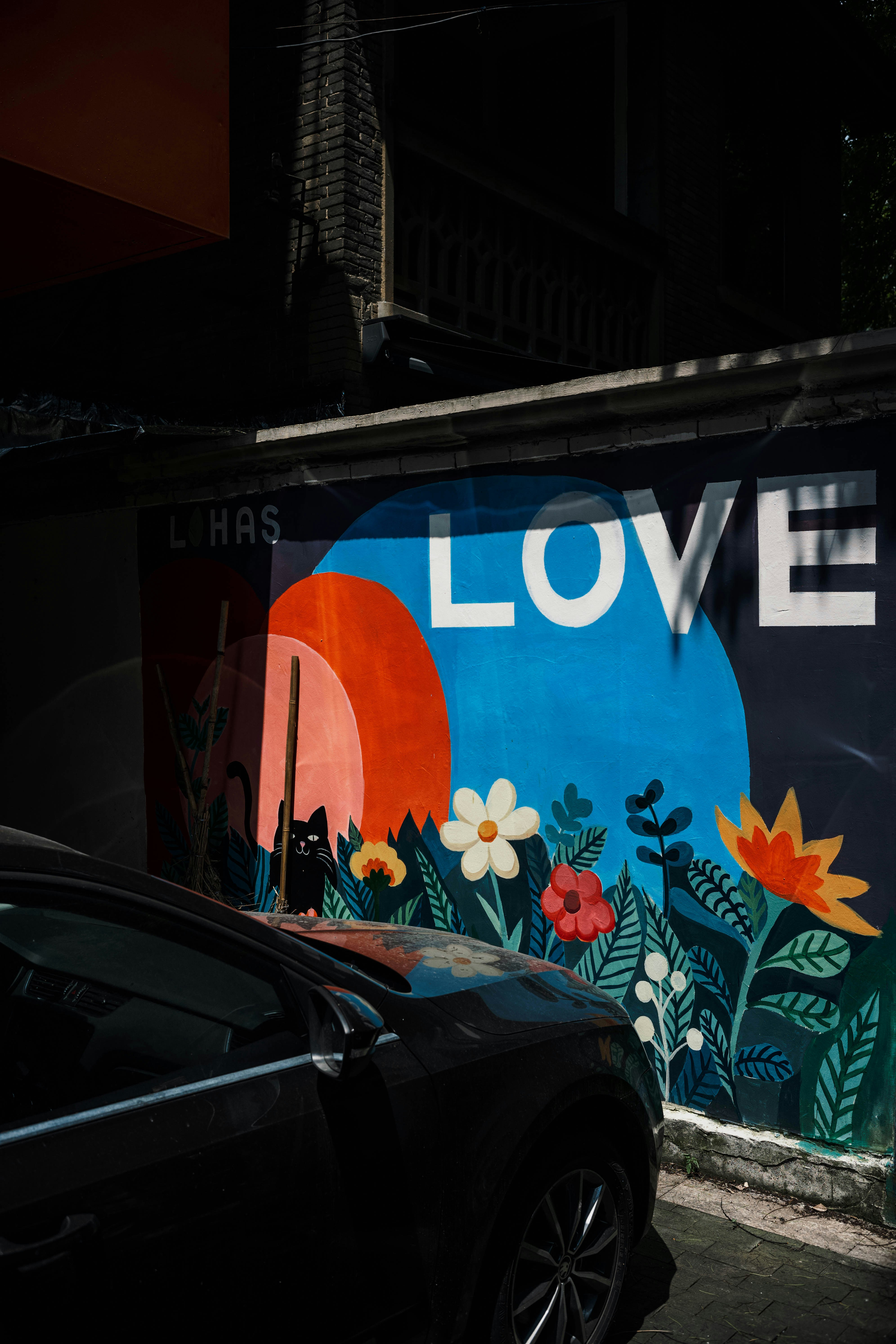 Photo by tommaomaoer