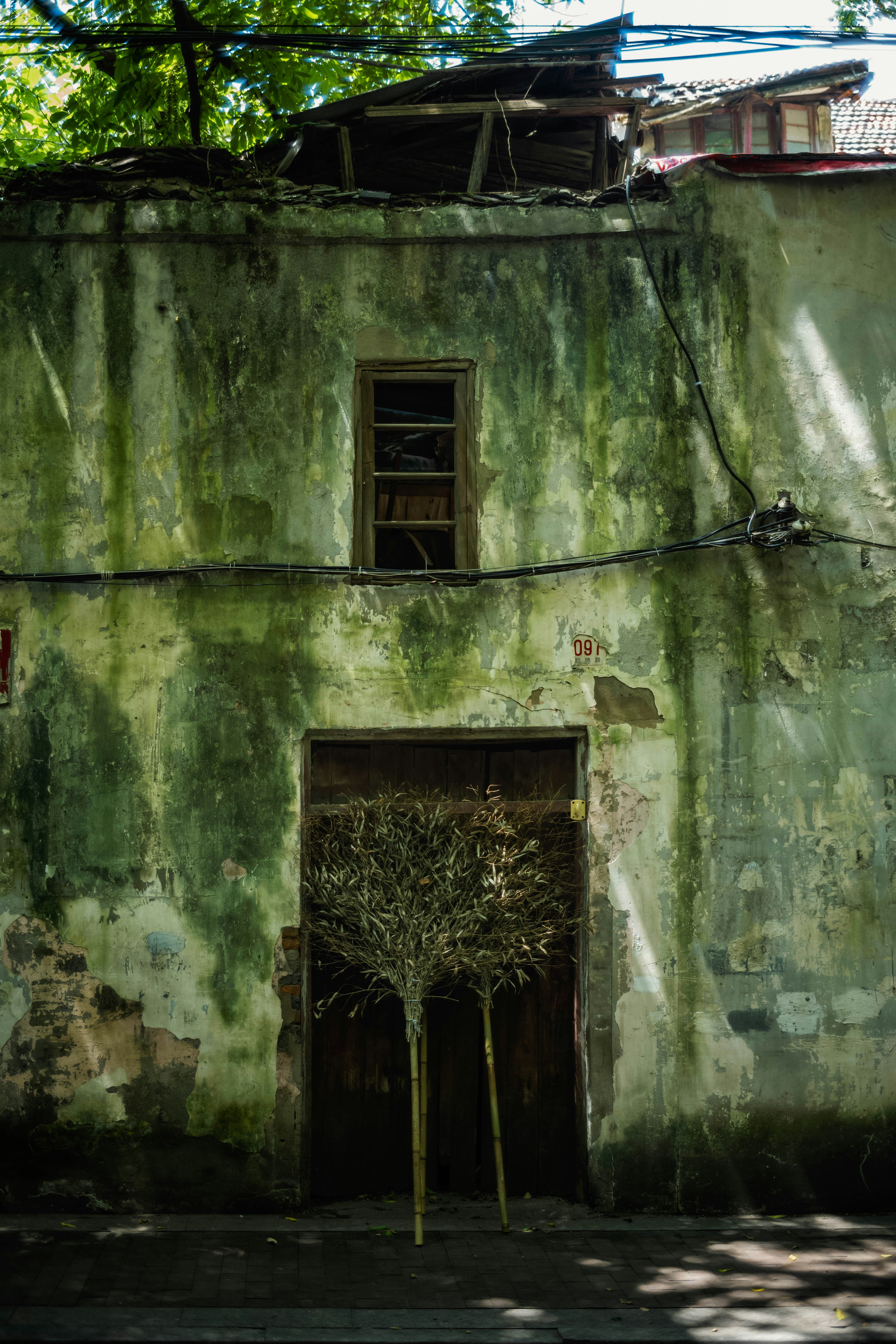 Photo by tommaomaoer