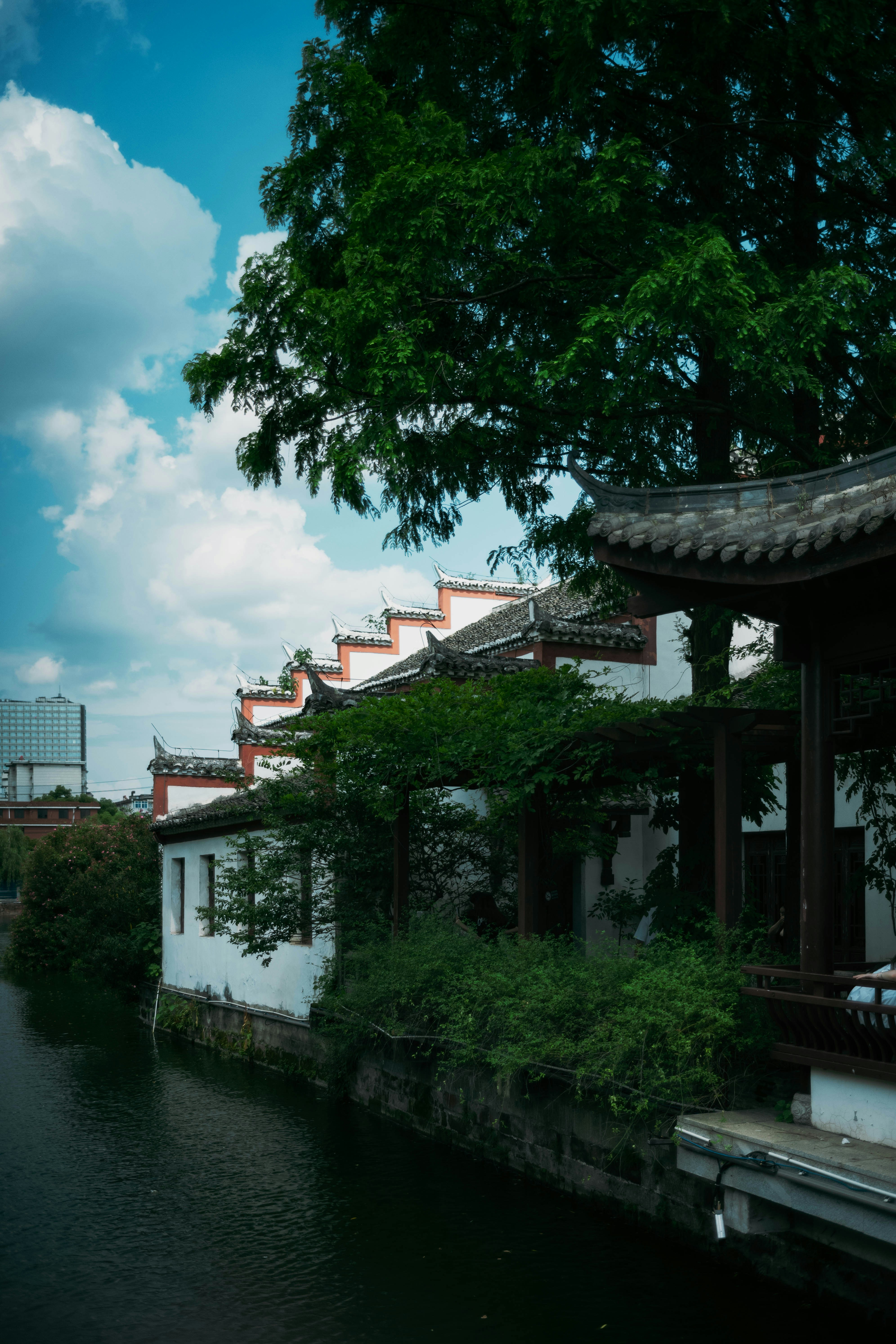 Photo by tommaomaoer