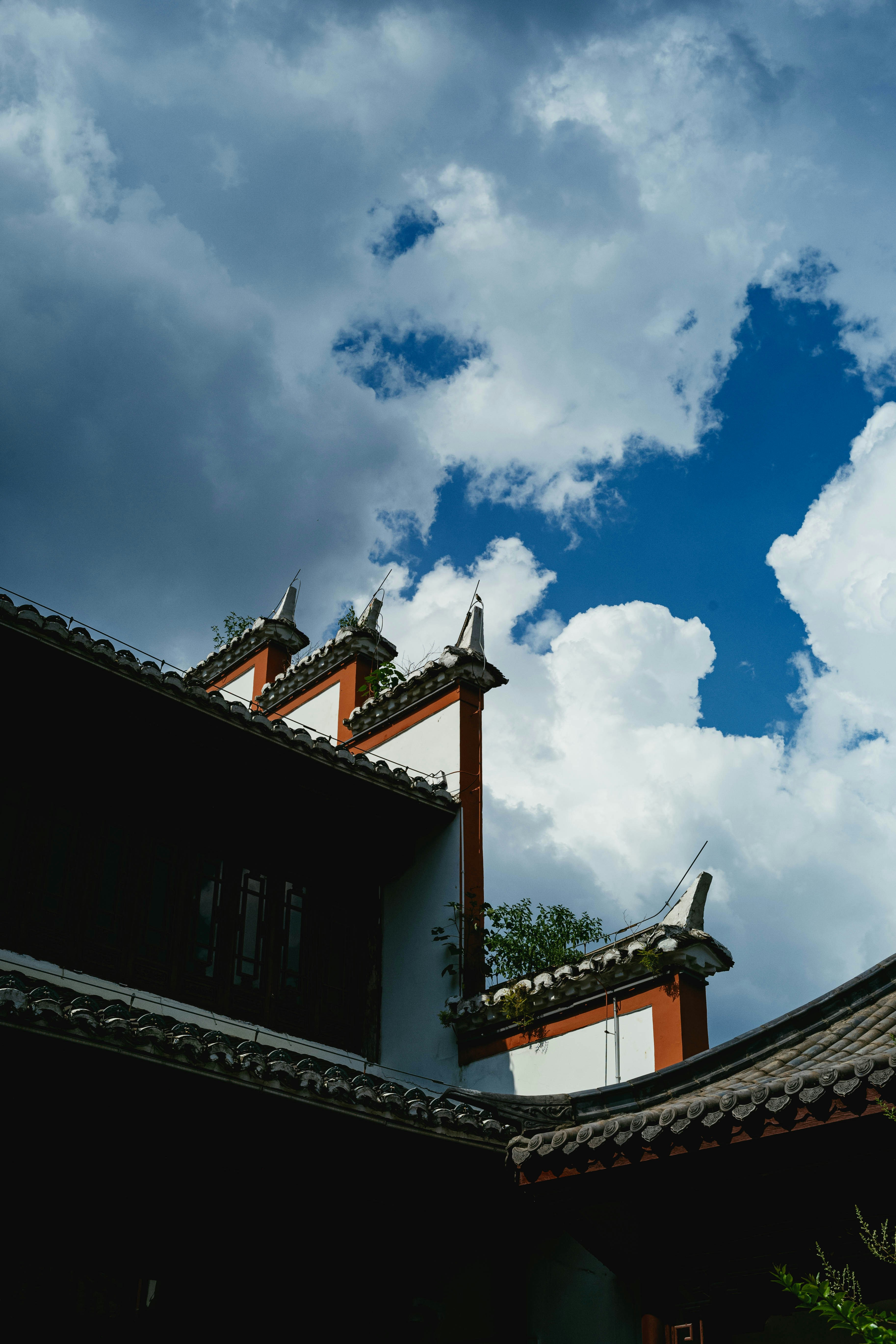 Photo by tommaomaoer