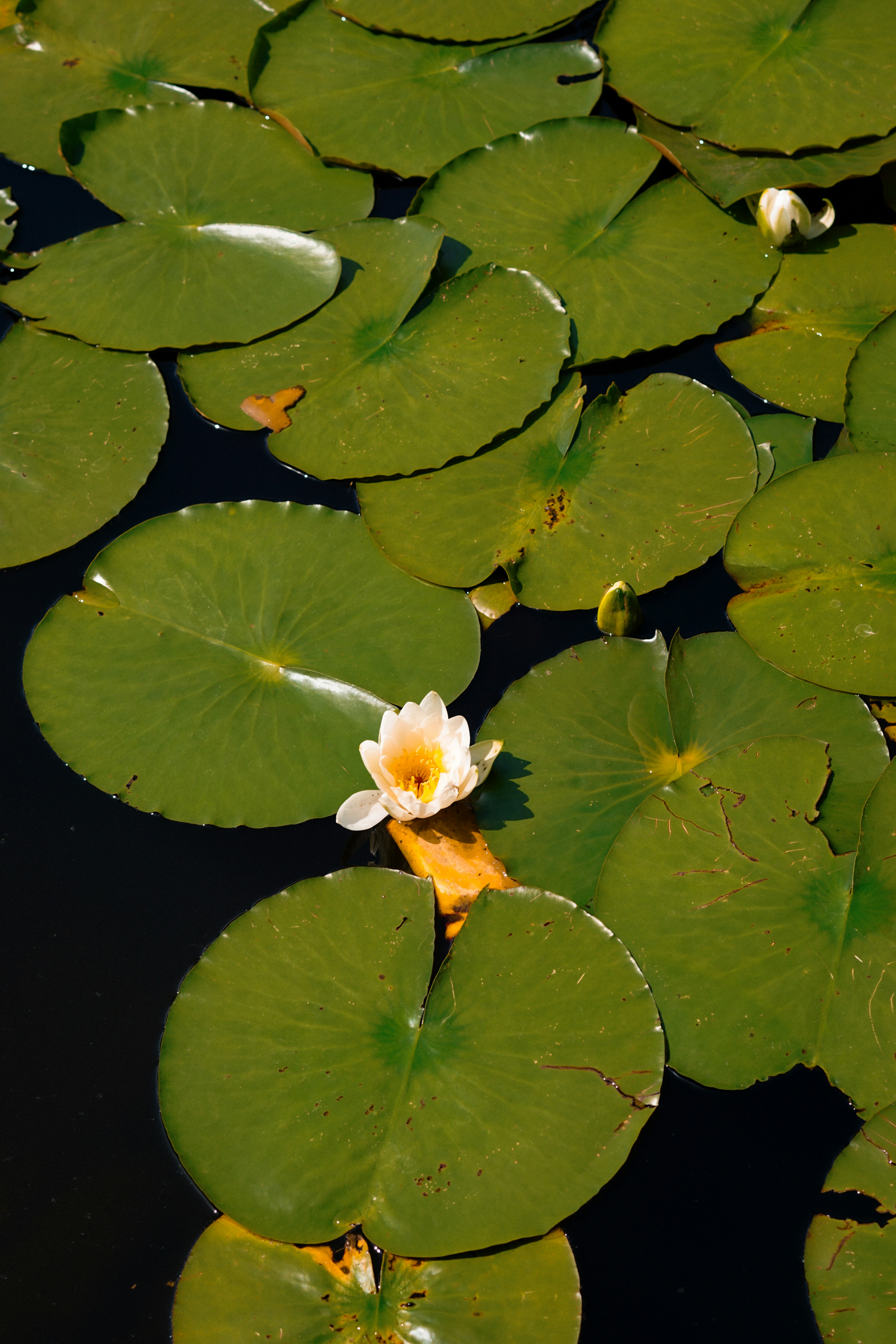 Photo by diadesigner