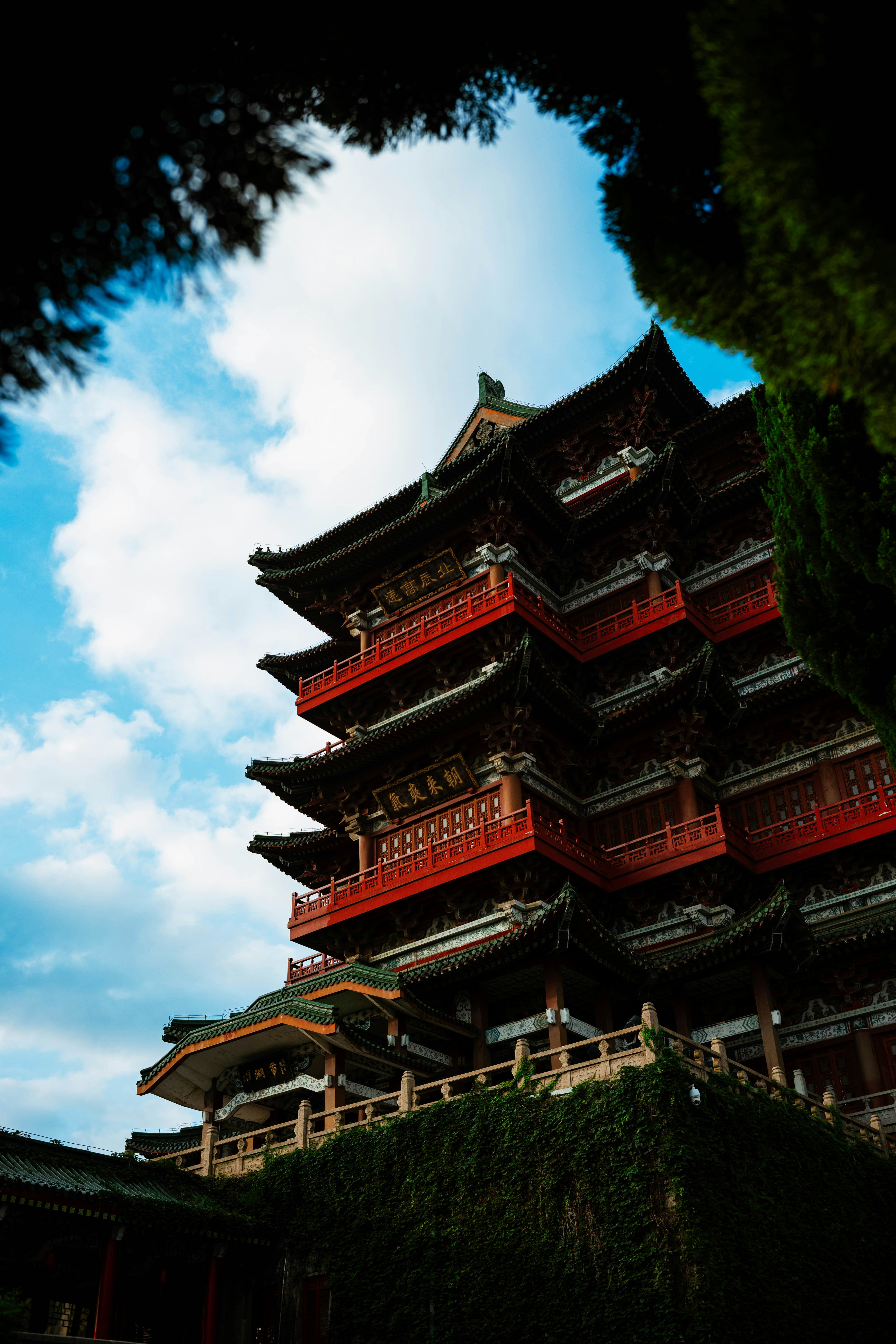 Photo by tommaomaoer