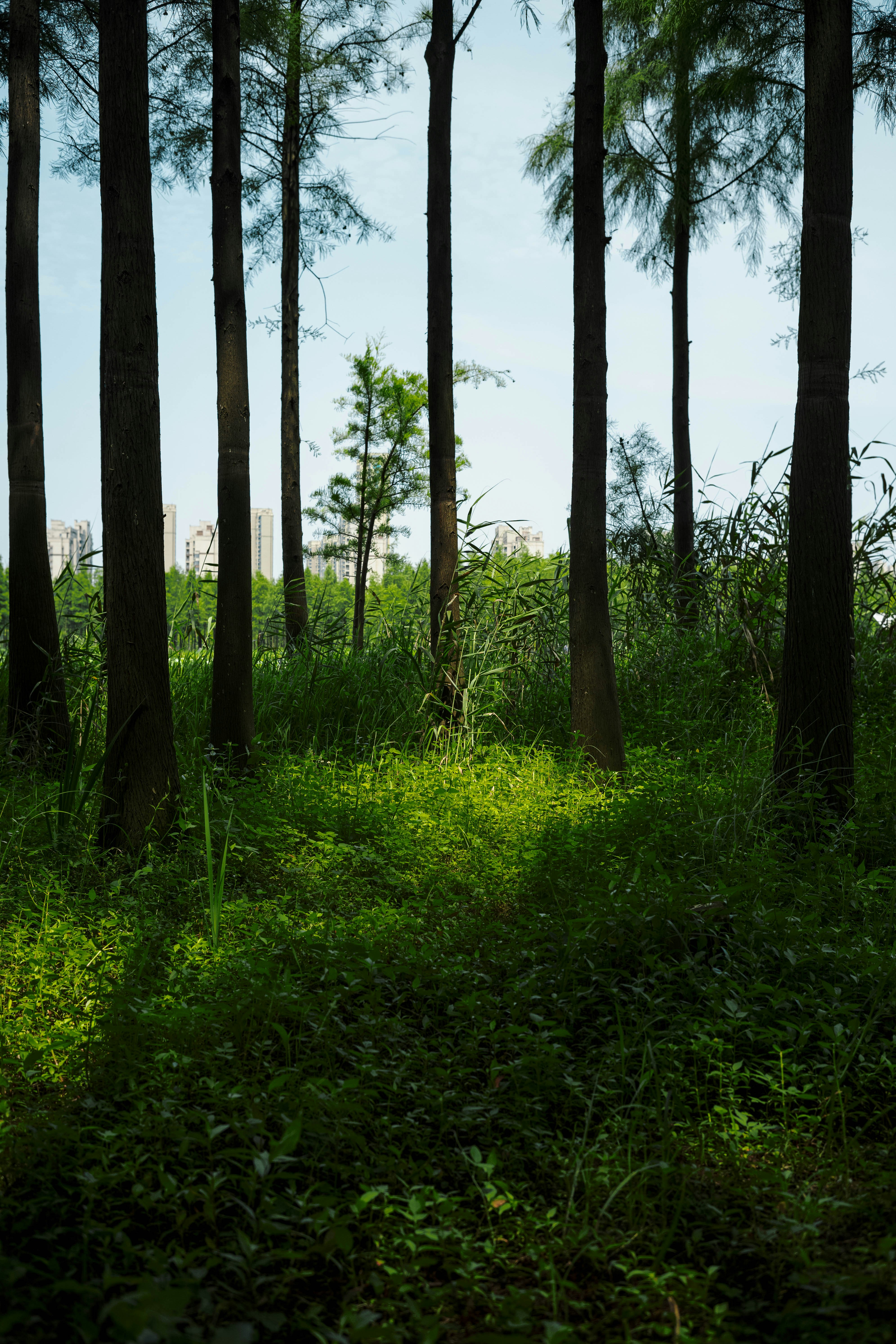 Photo by tommaomaoer
