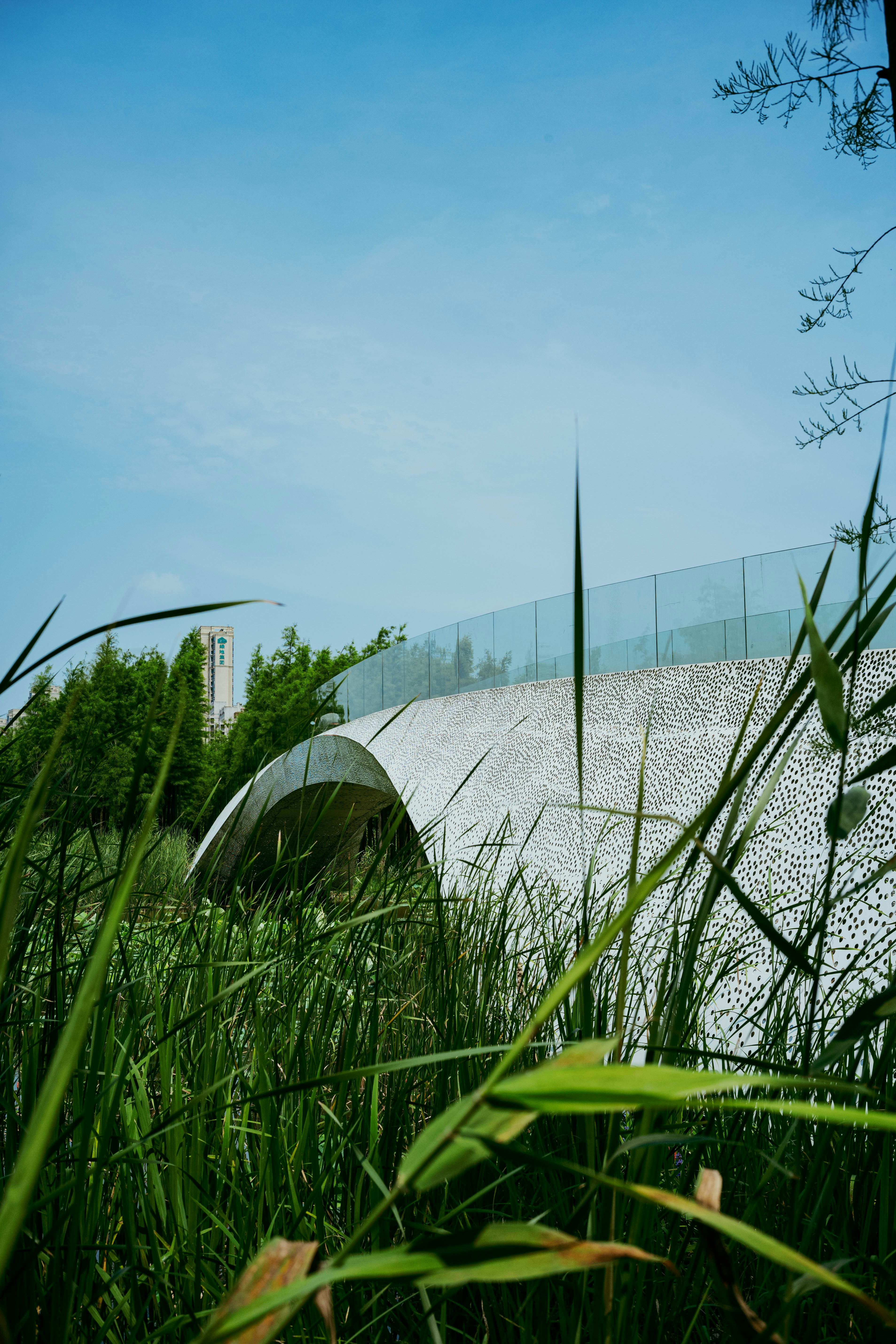 Photo by tommaomaoer