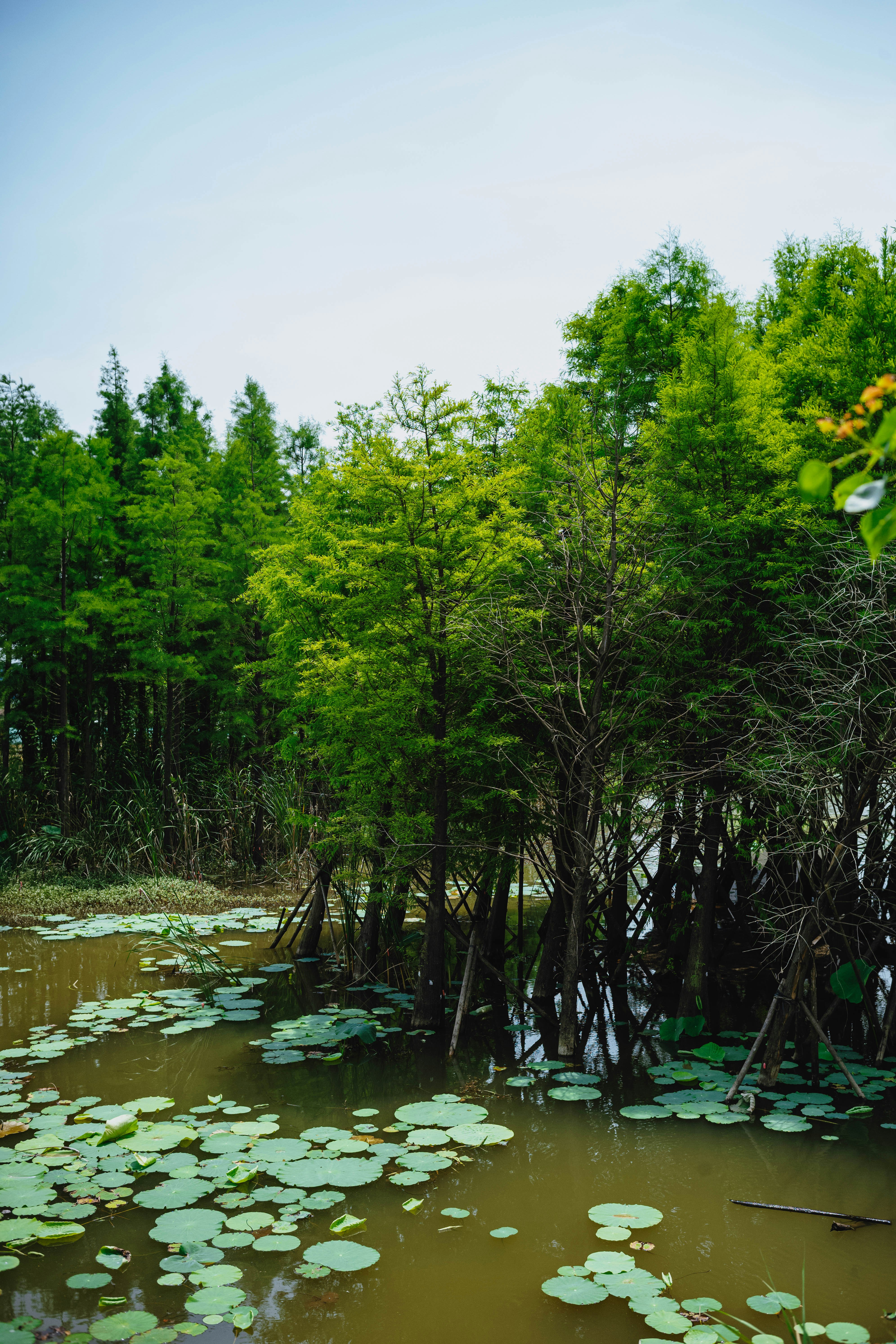 Photo by tommaomaoer