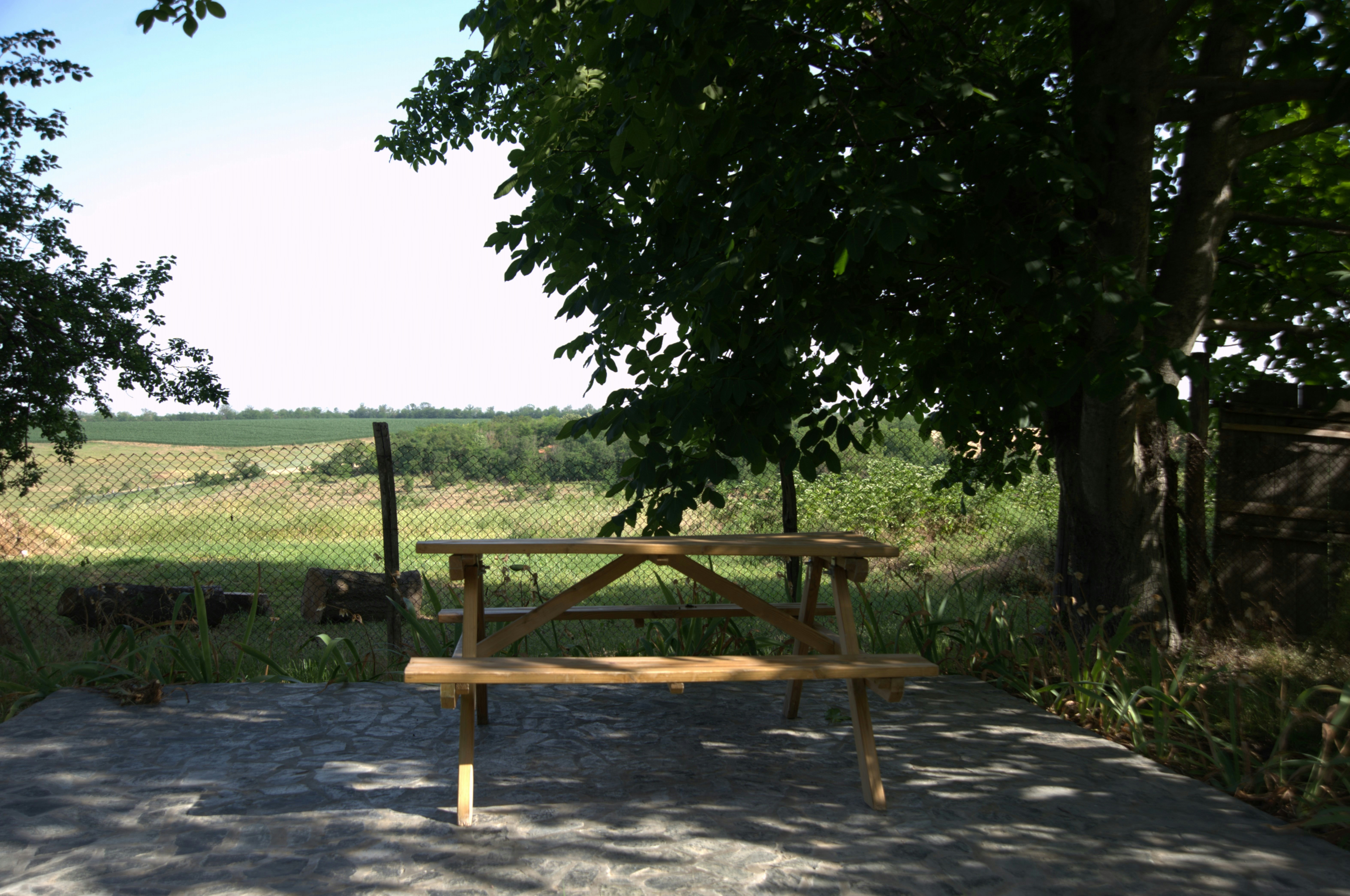 a picnic table in the shade of a tree