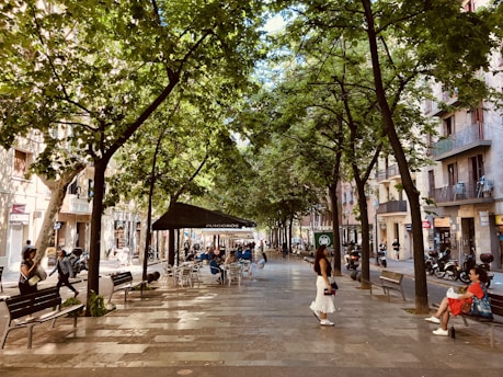 a woman is walking down a tree lined street