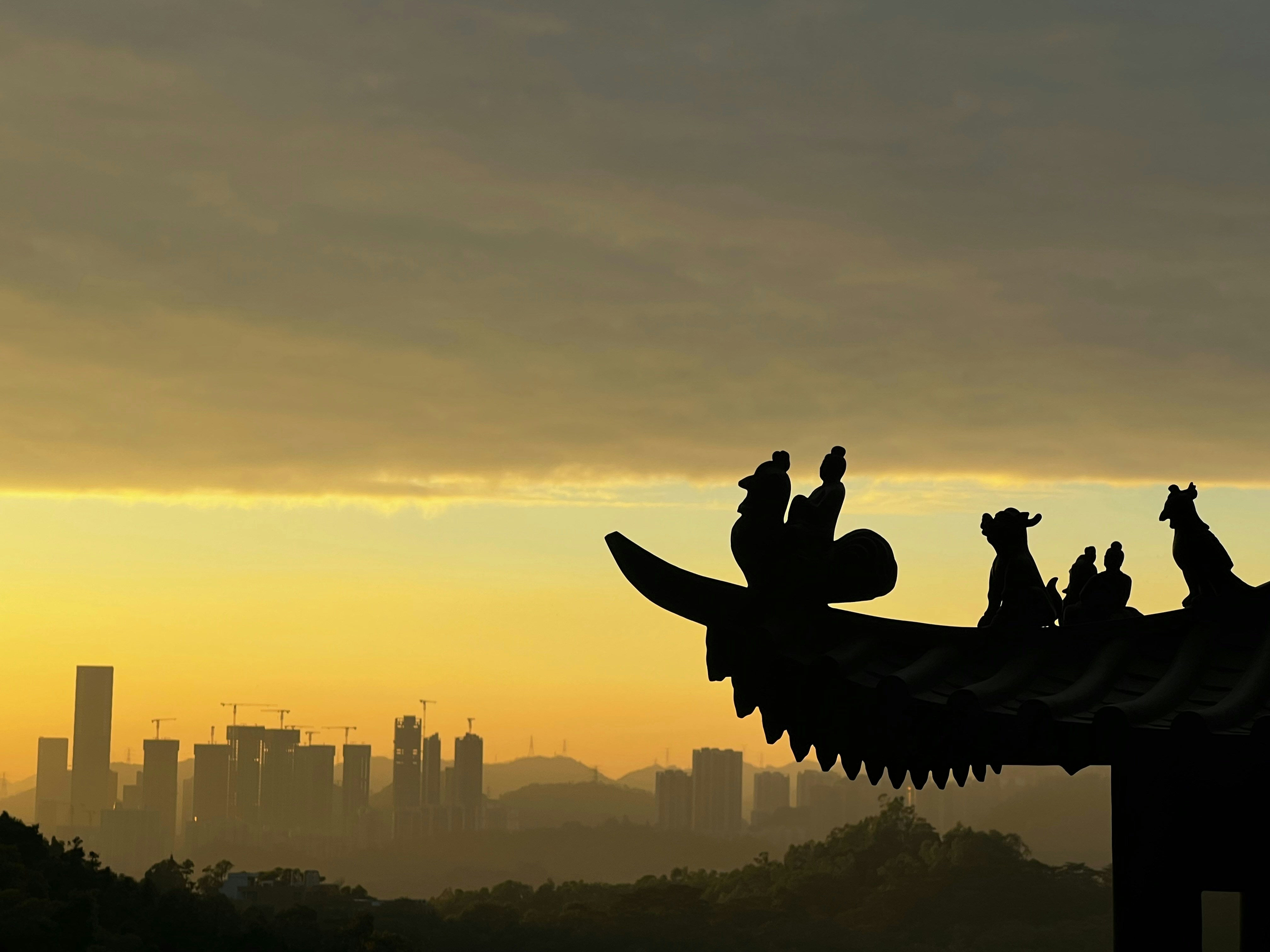 養寵物前給我住手！99%的人都忽略的 XX 真相曝光！