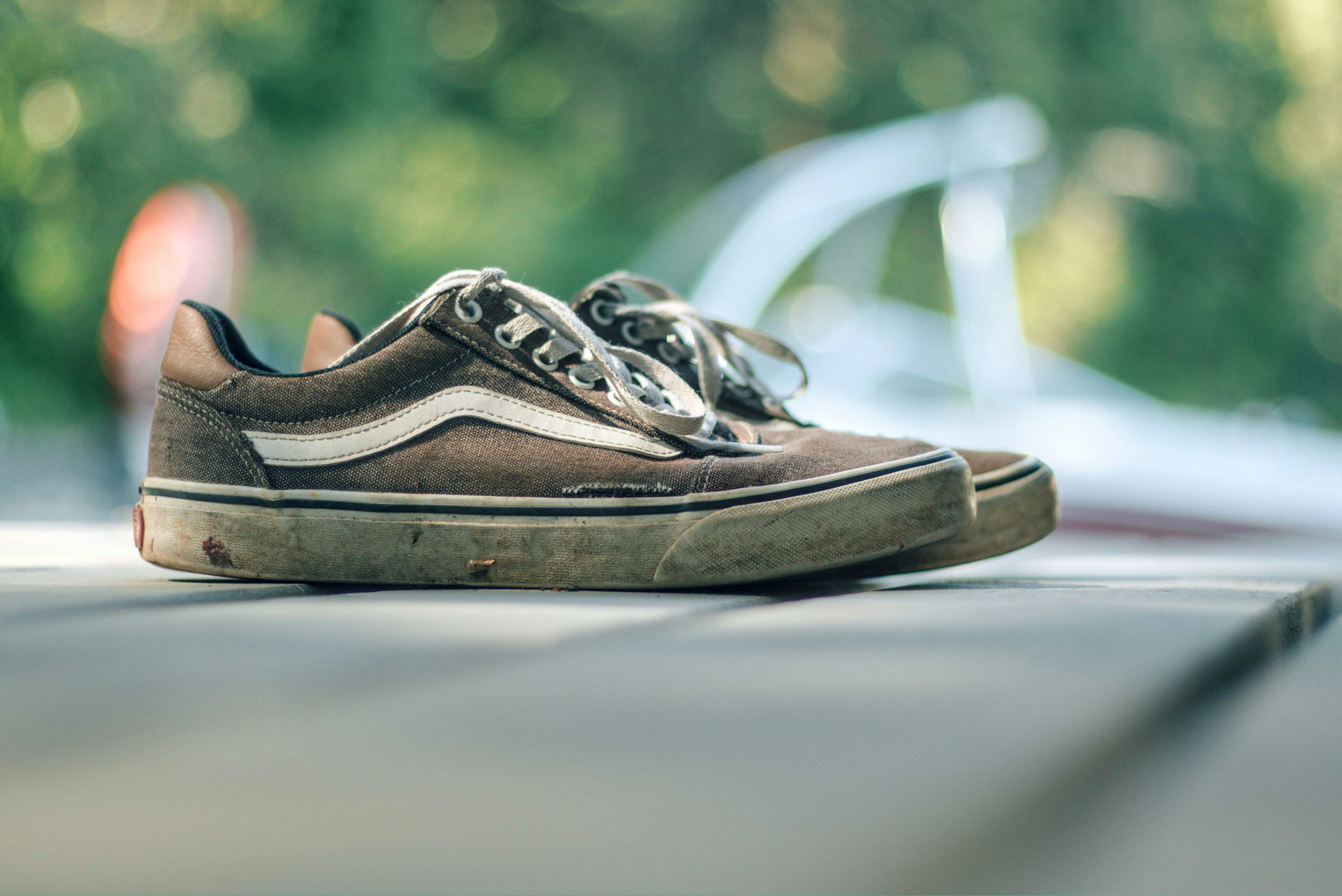 Photo by dcanadianphotographer