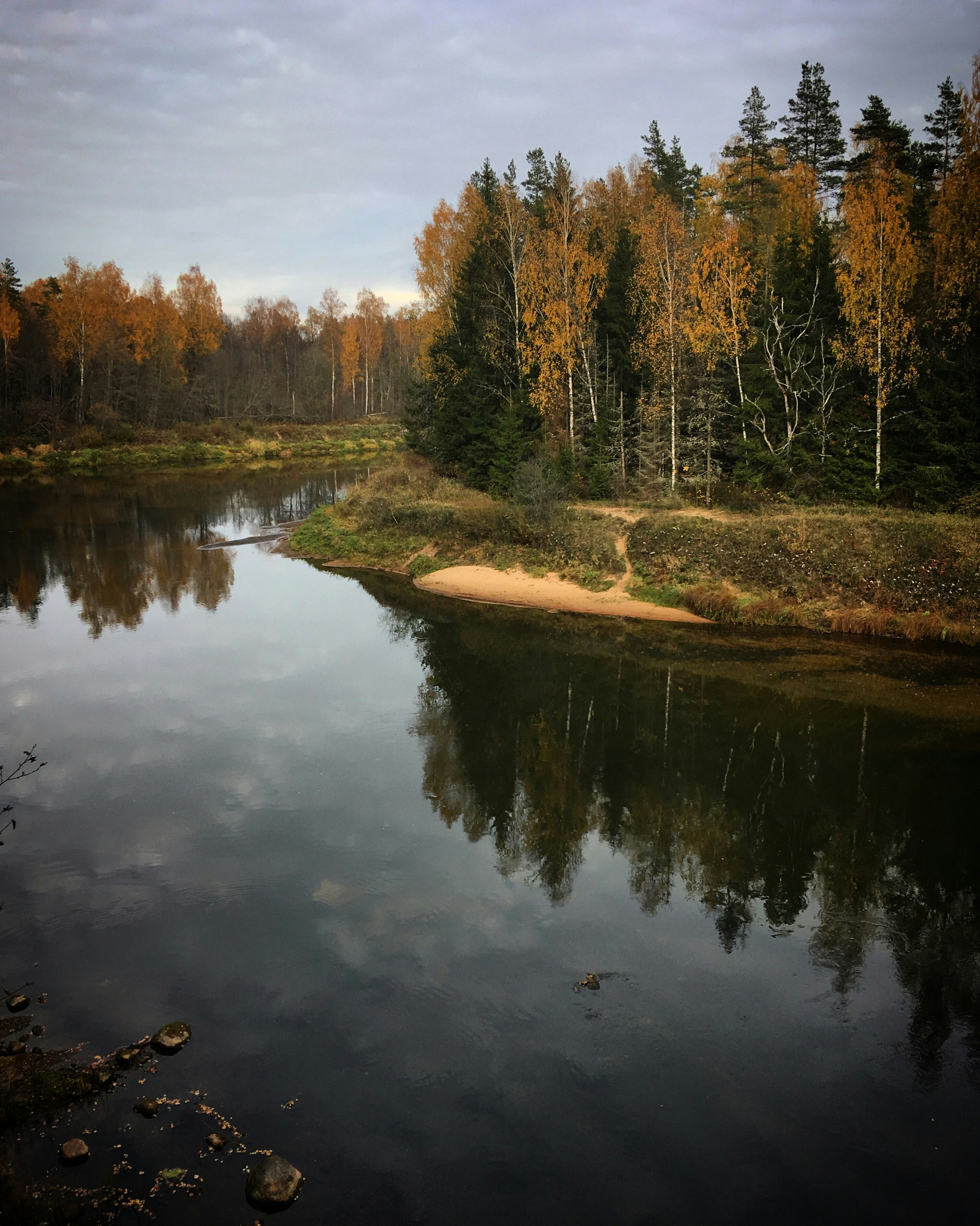 Photo by sergei_gussev