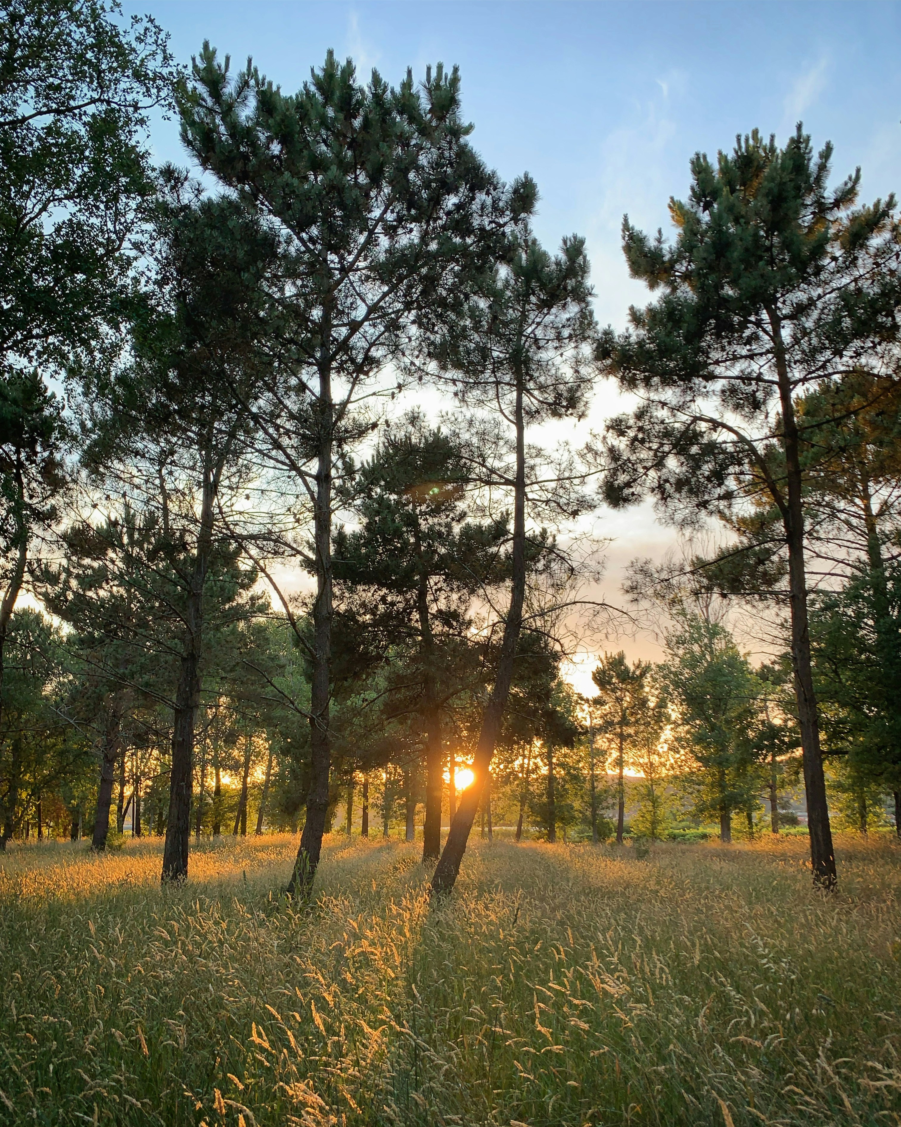 Photo by sergei_gussev