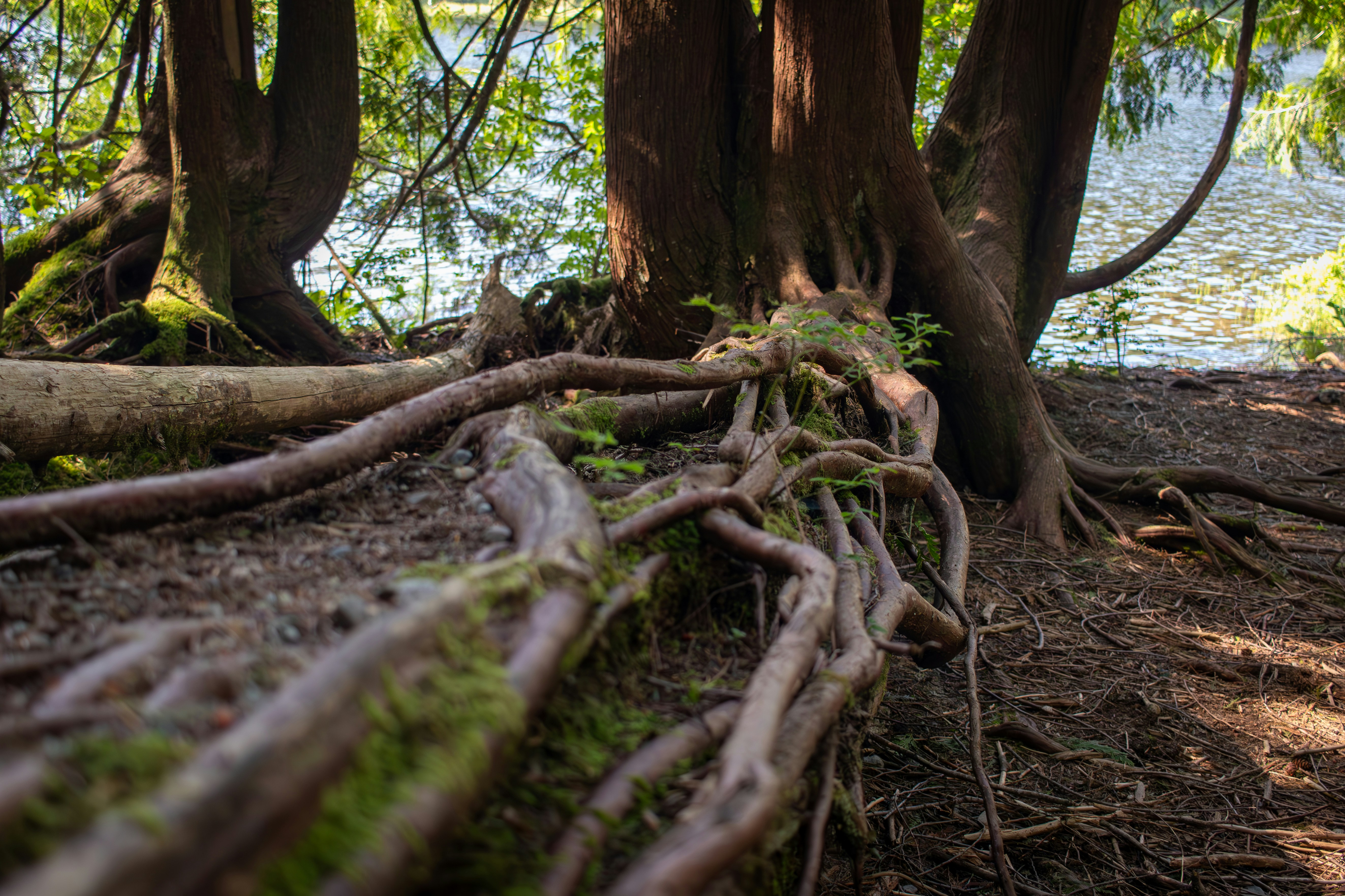 Photo by gabrielletriquet