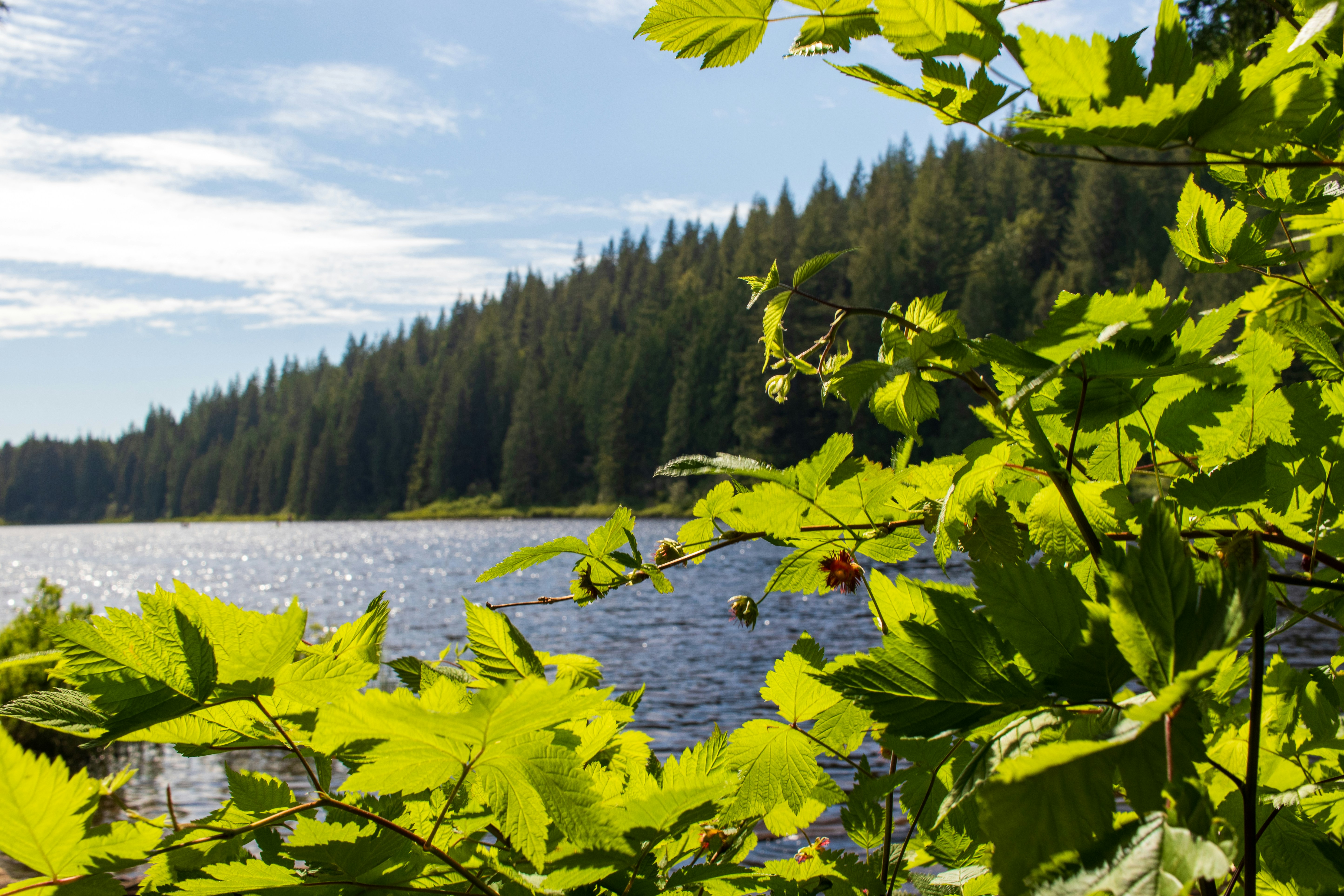 Photo by gabrielletriquet