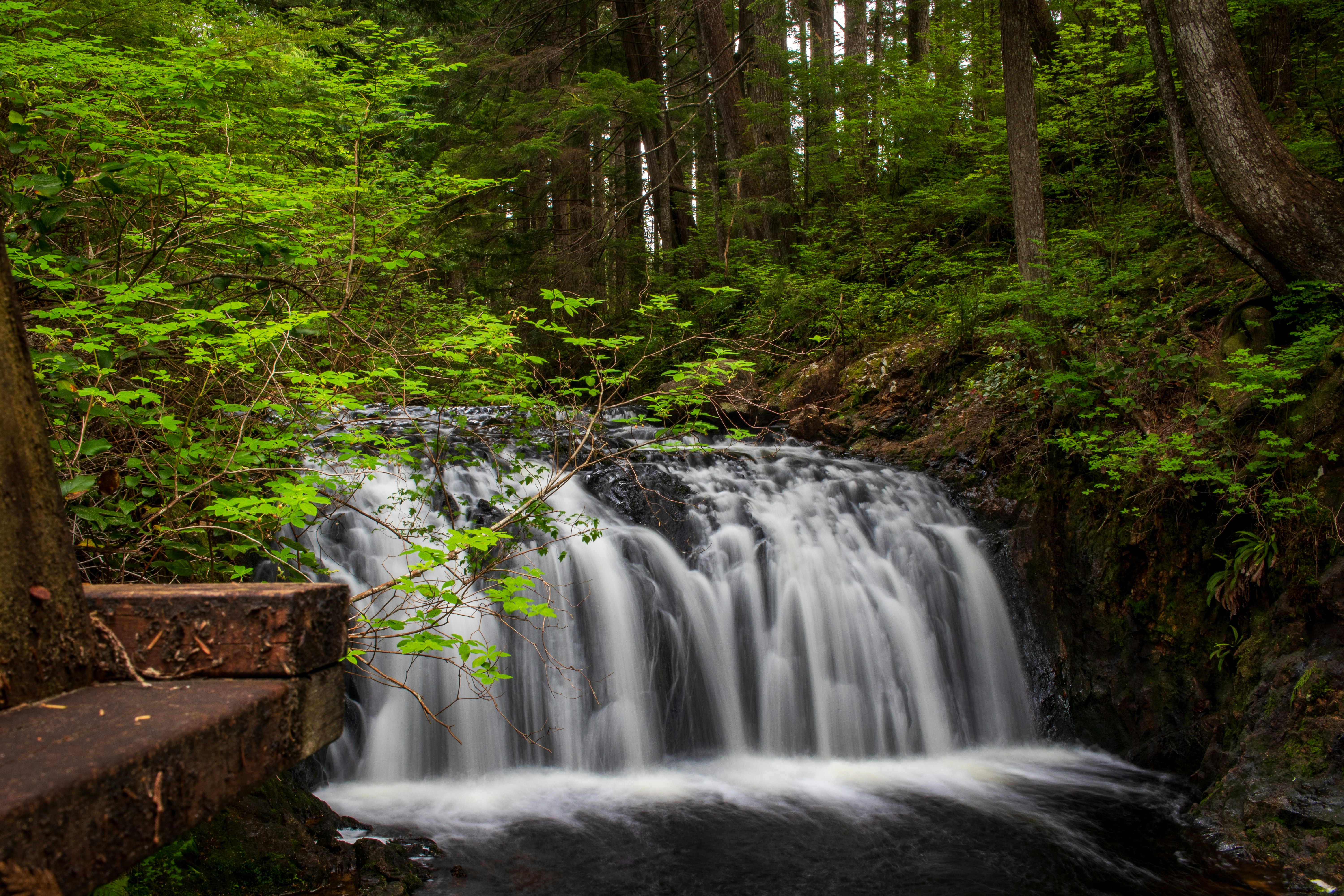 Photo by gabrielletriquet