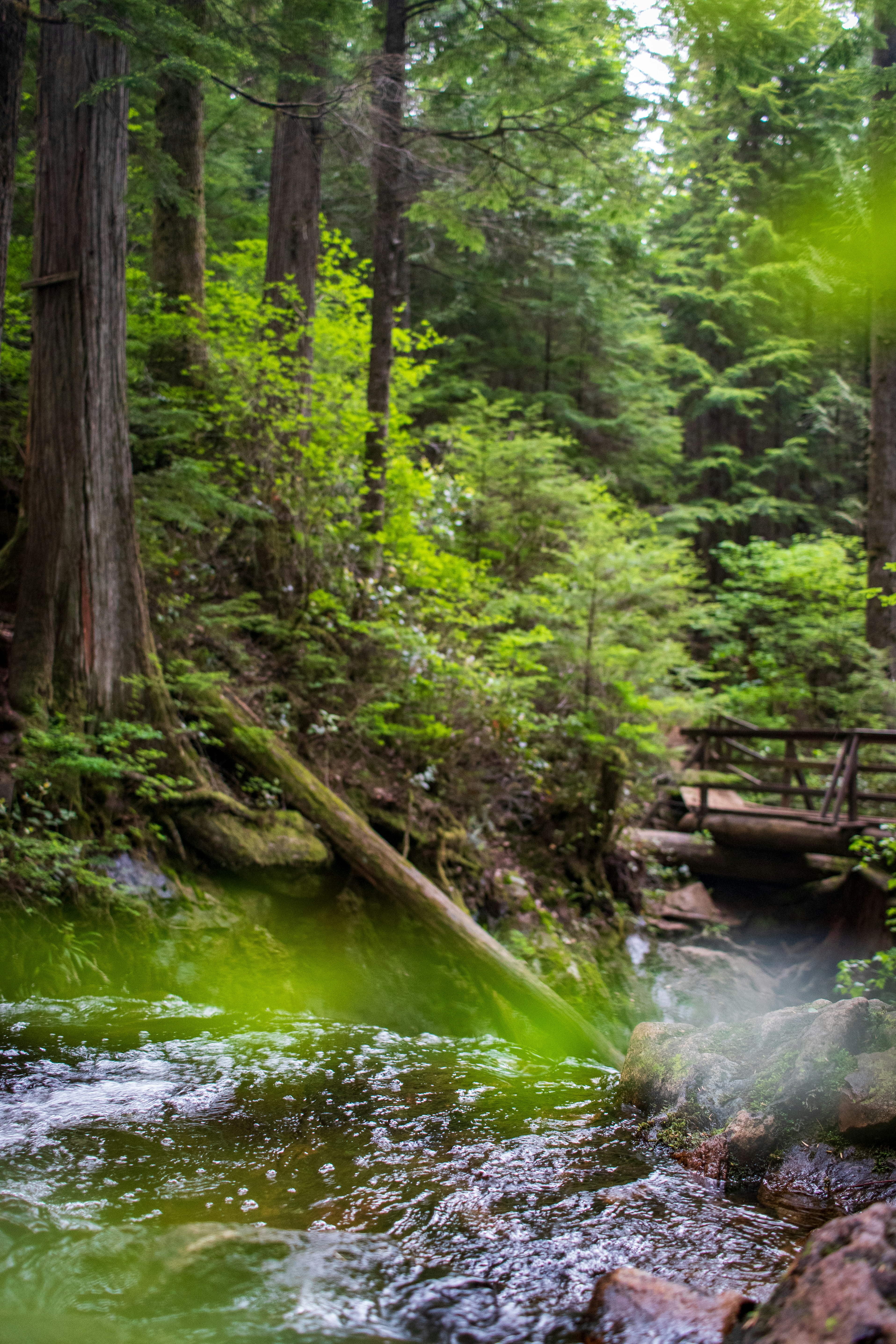 Photo by gabrielletriquet