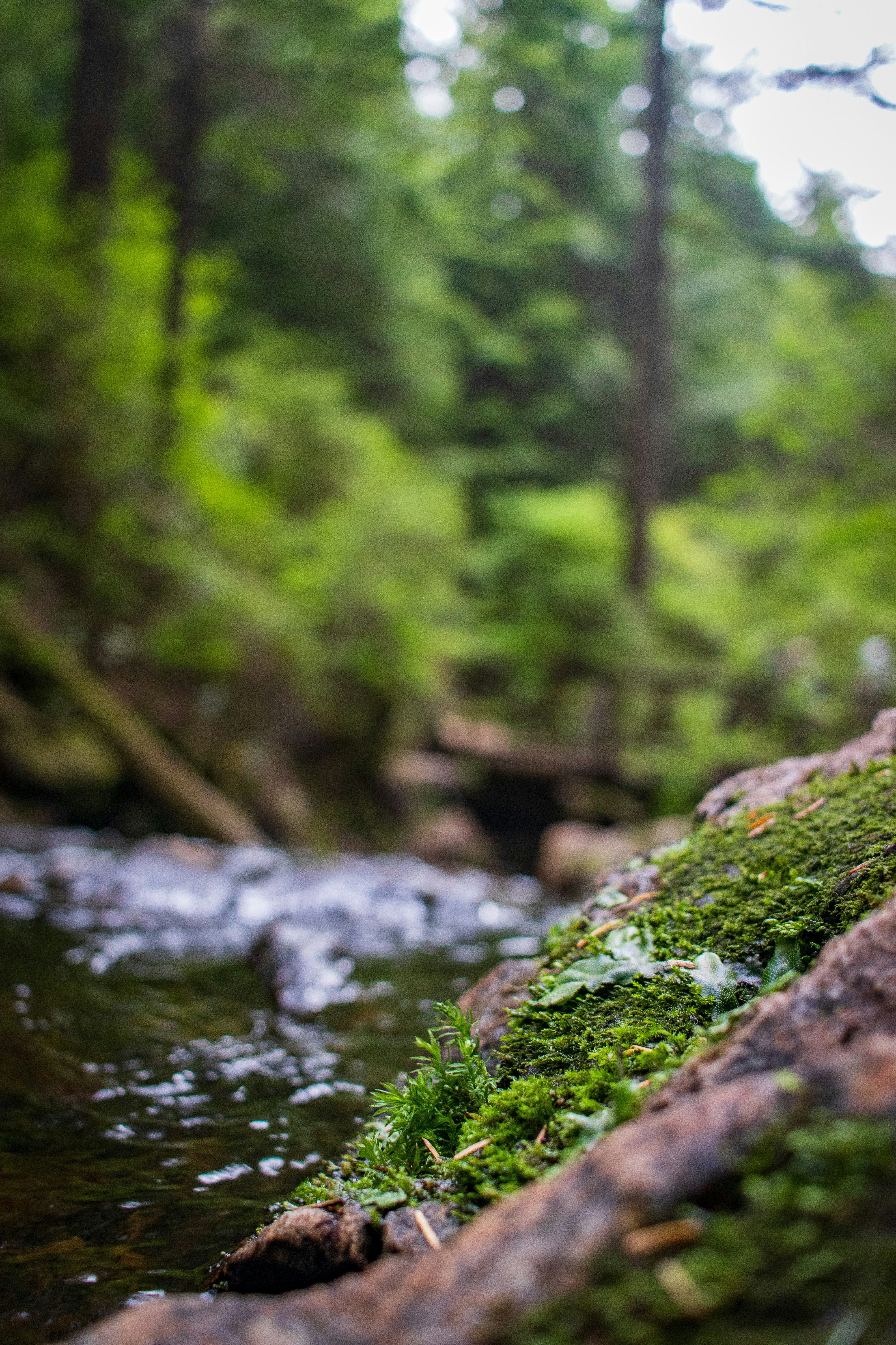 Photo by gabrielletriquet