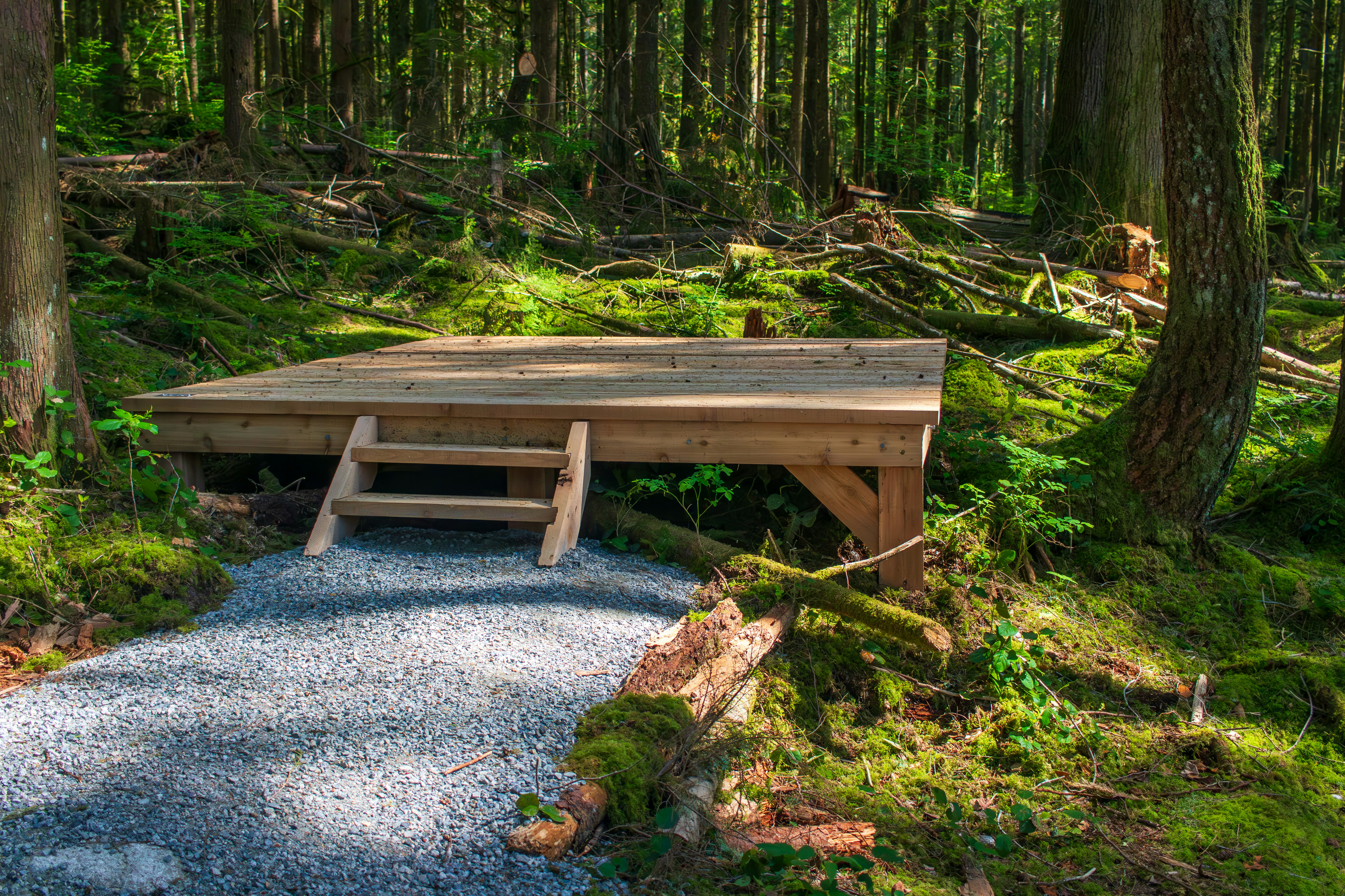 a picnic table in the middle of a forest