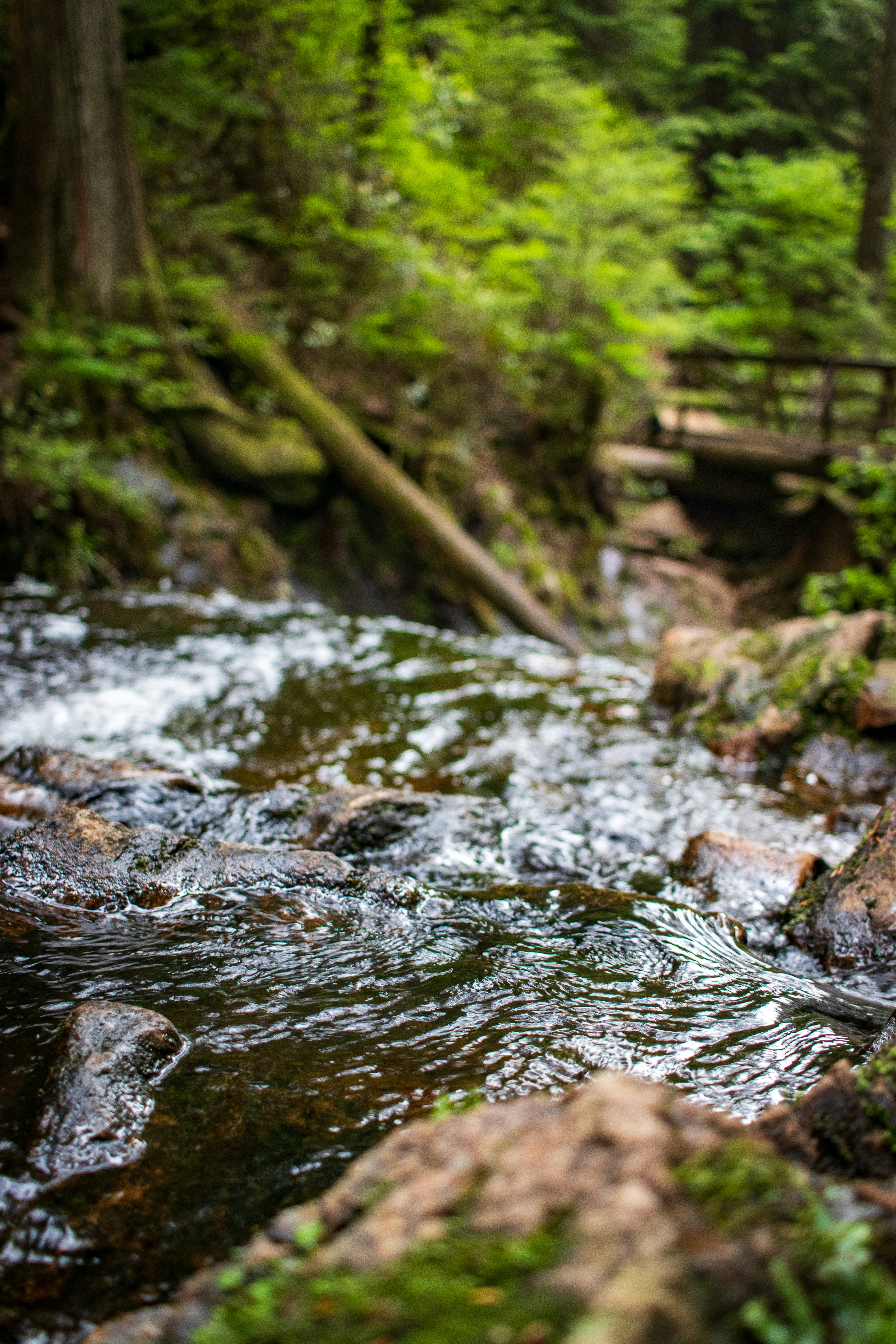 Photo by gabrielletriquet