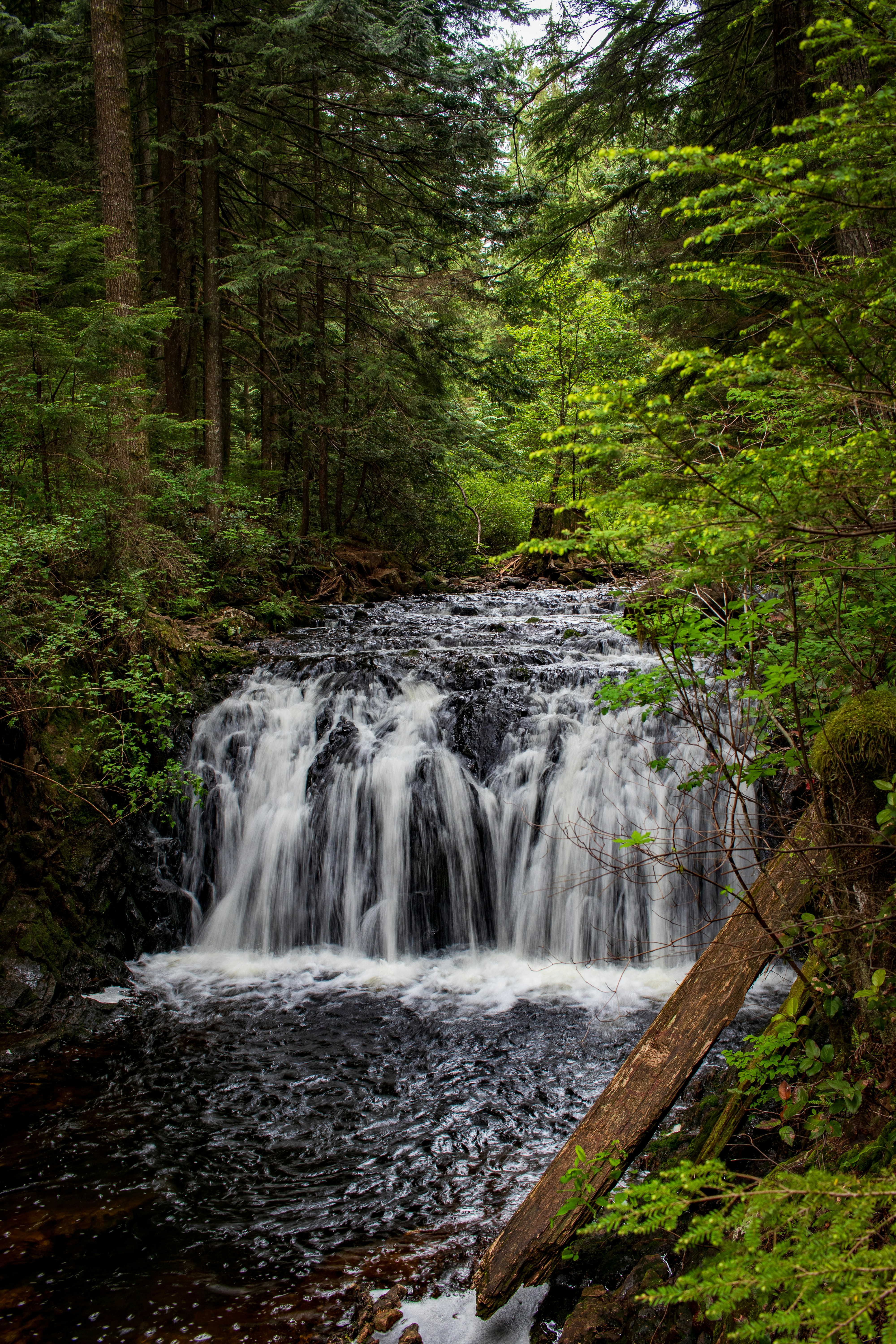 Photo by gabrielletriquet