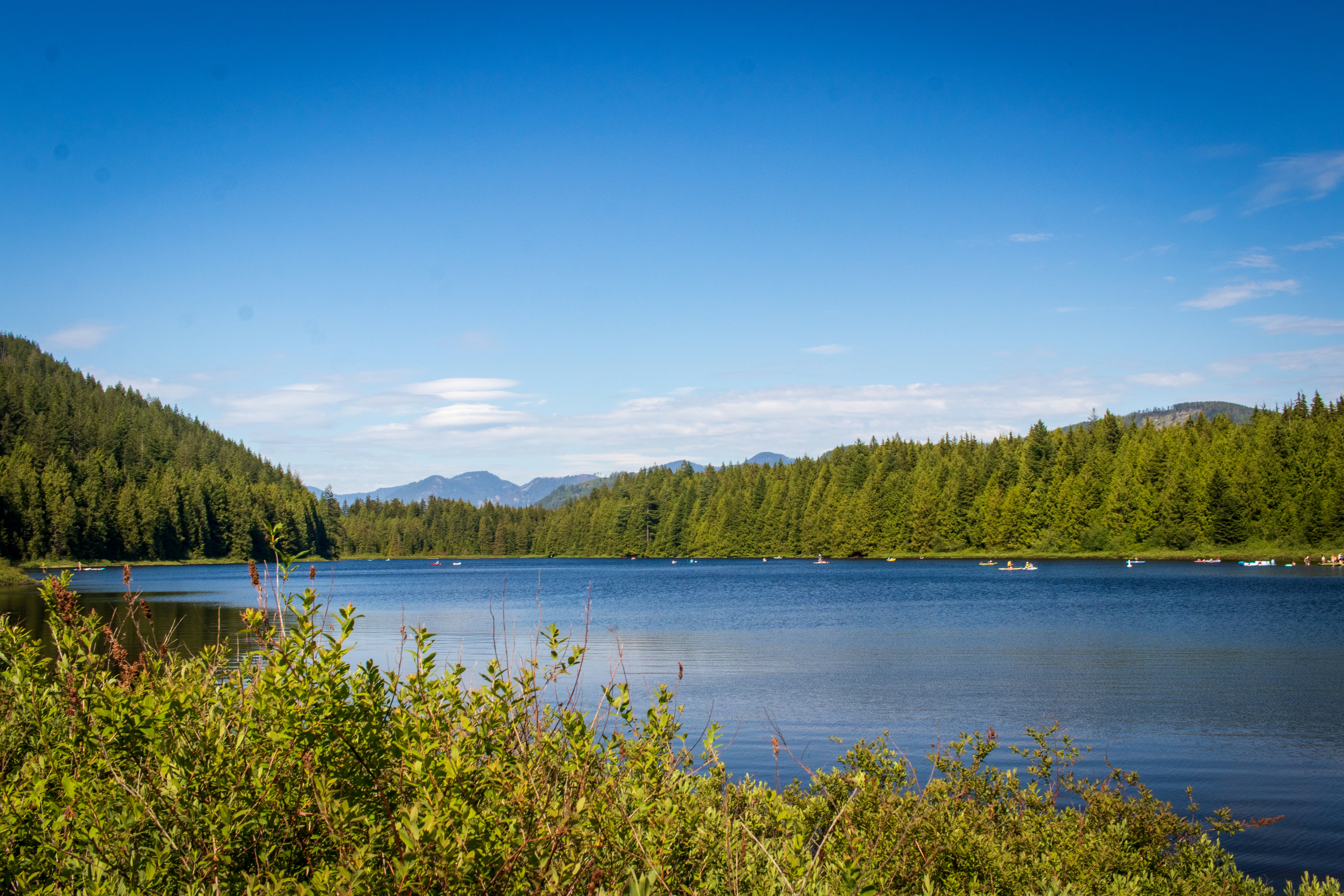 a large body of water surrounded by trees