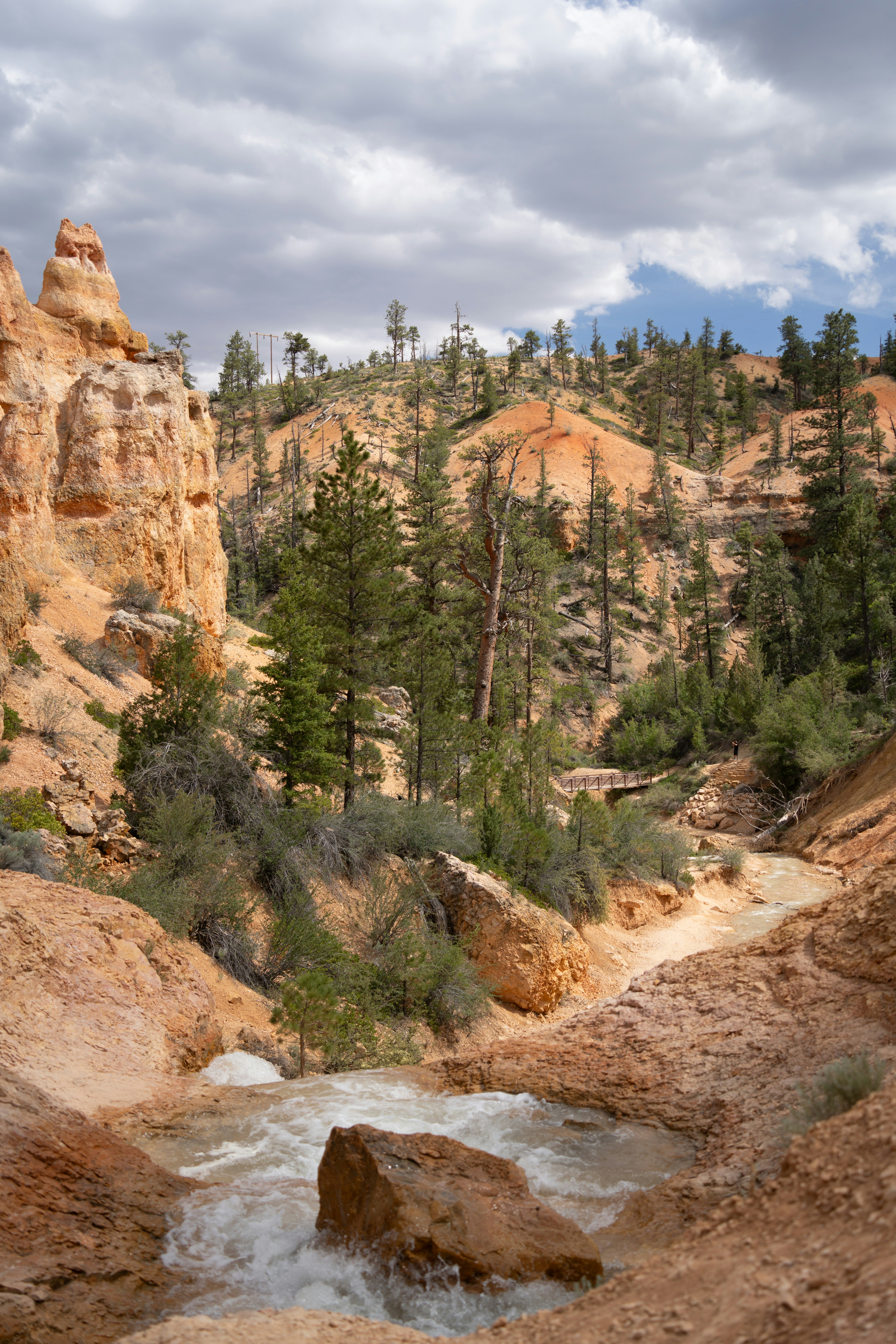 Photo by alexmoliski