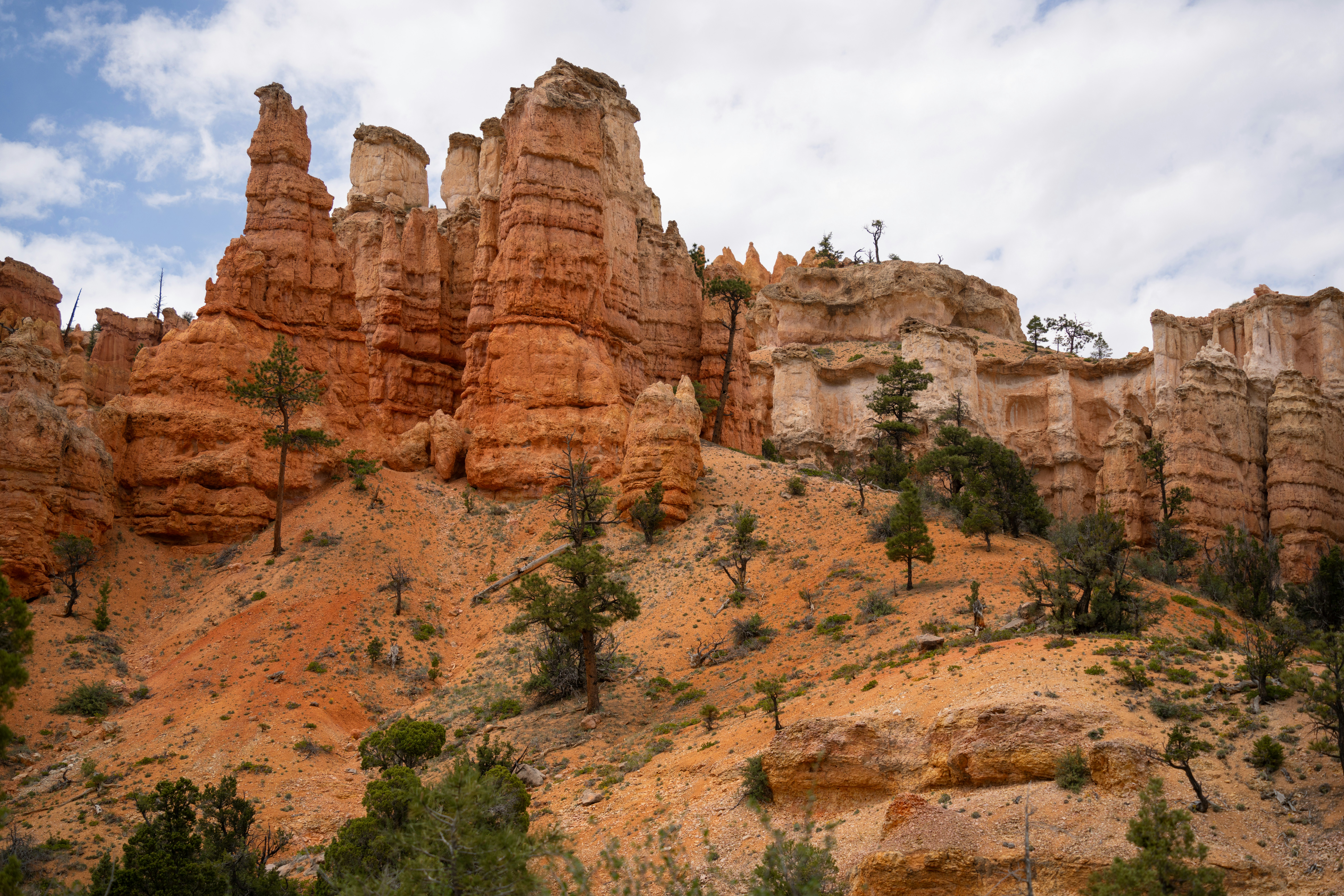 Photo by alexmoliski