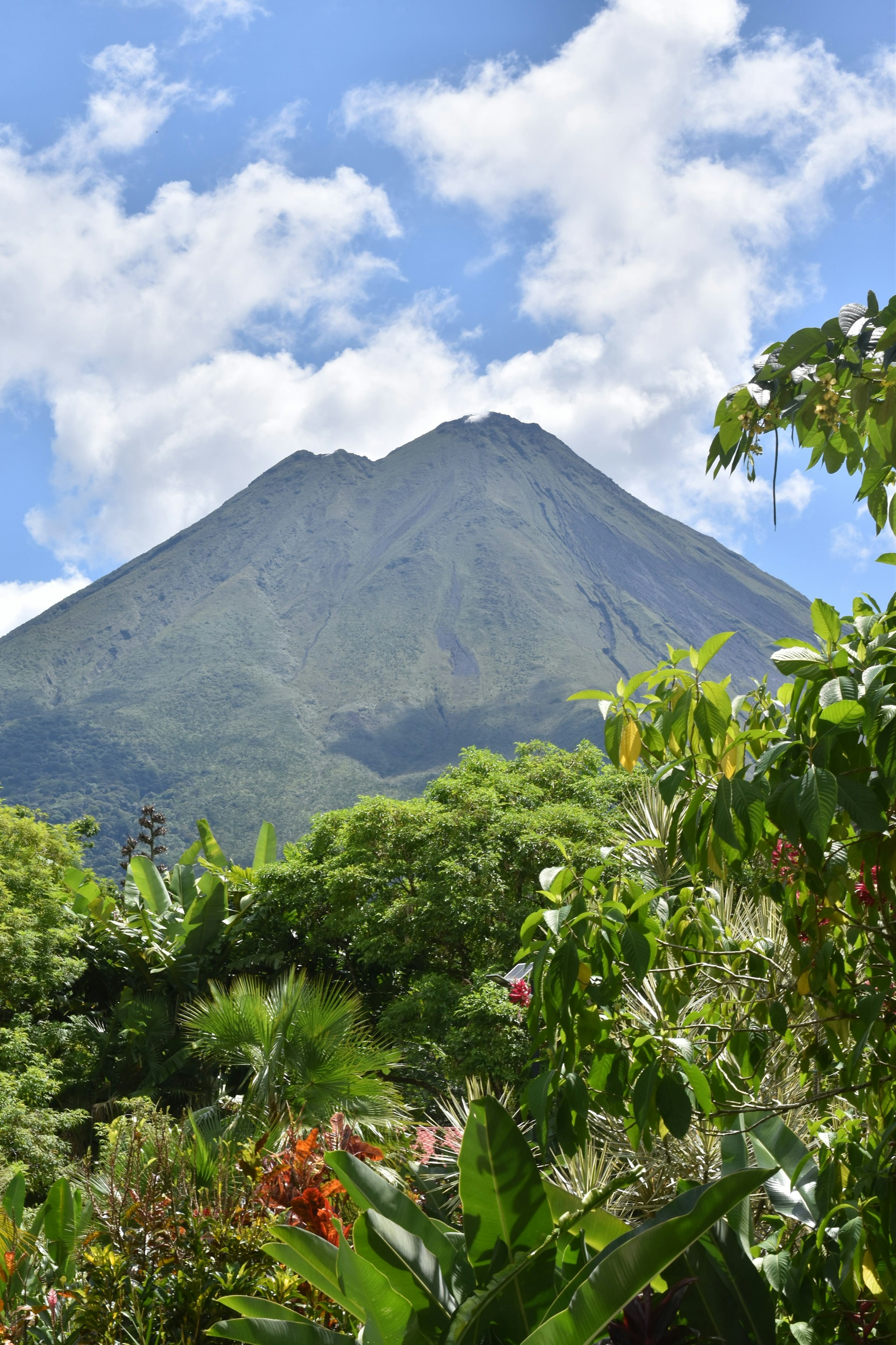 a view of a mountain in the distance