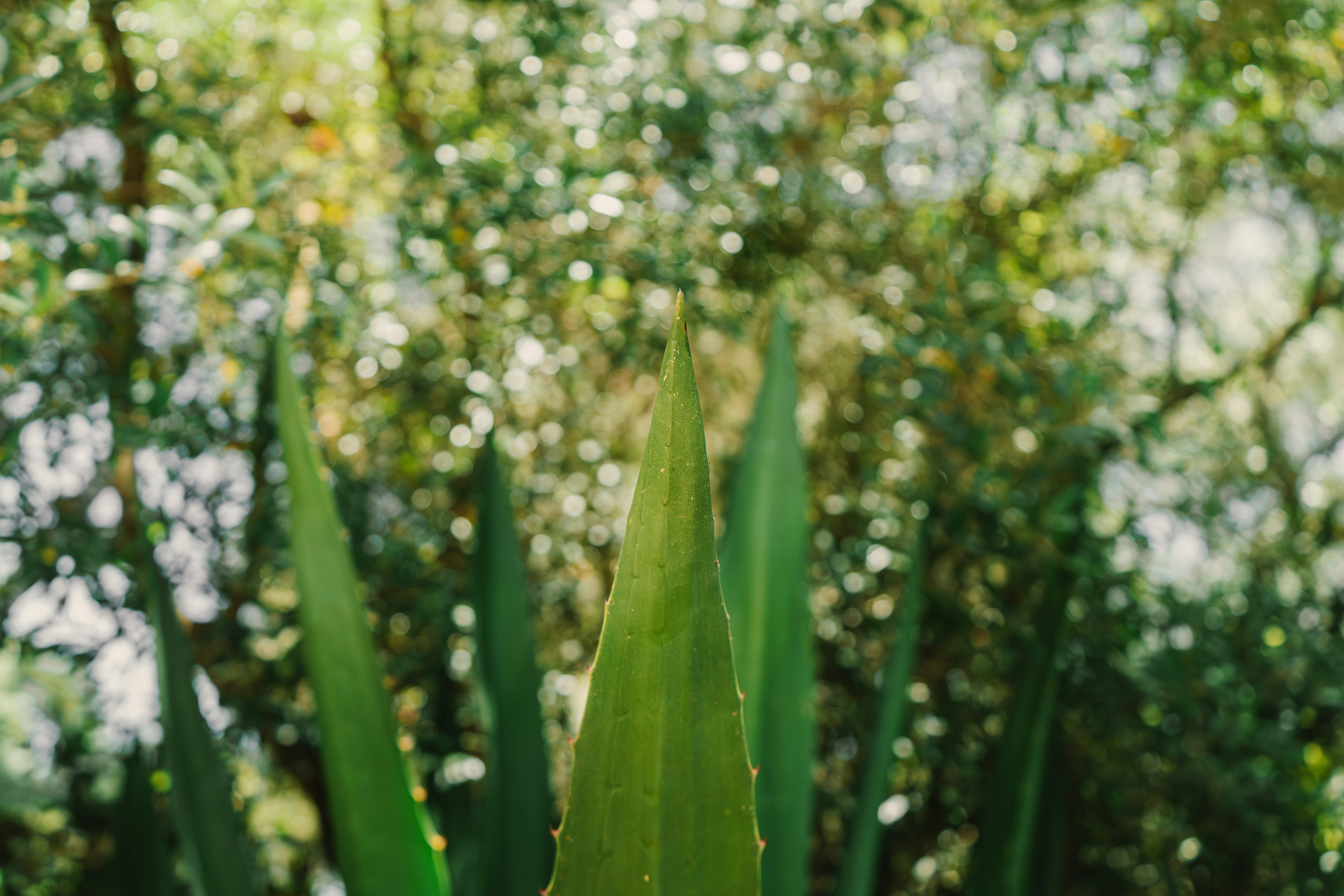 Photo by hybridpictures