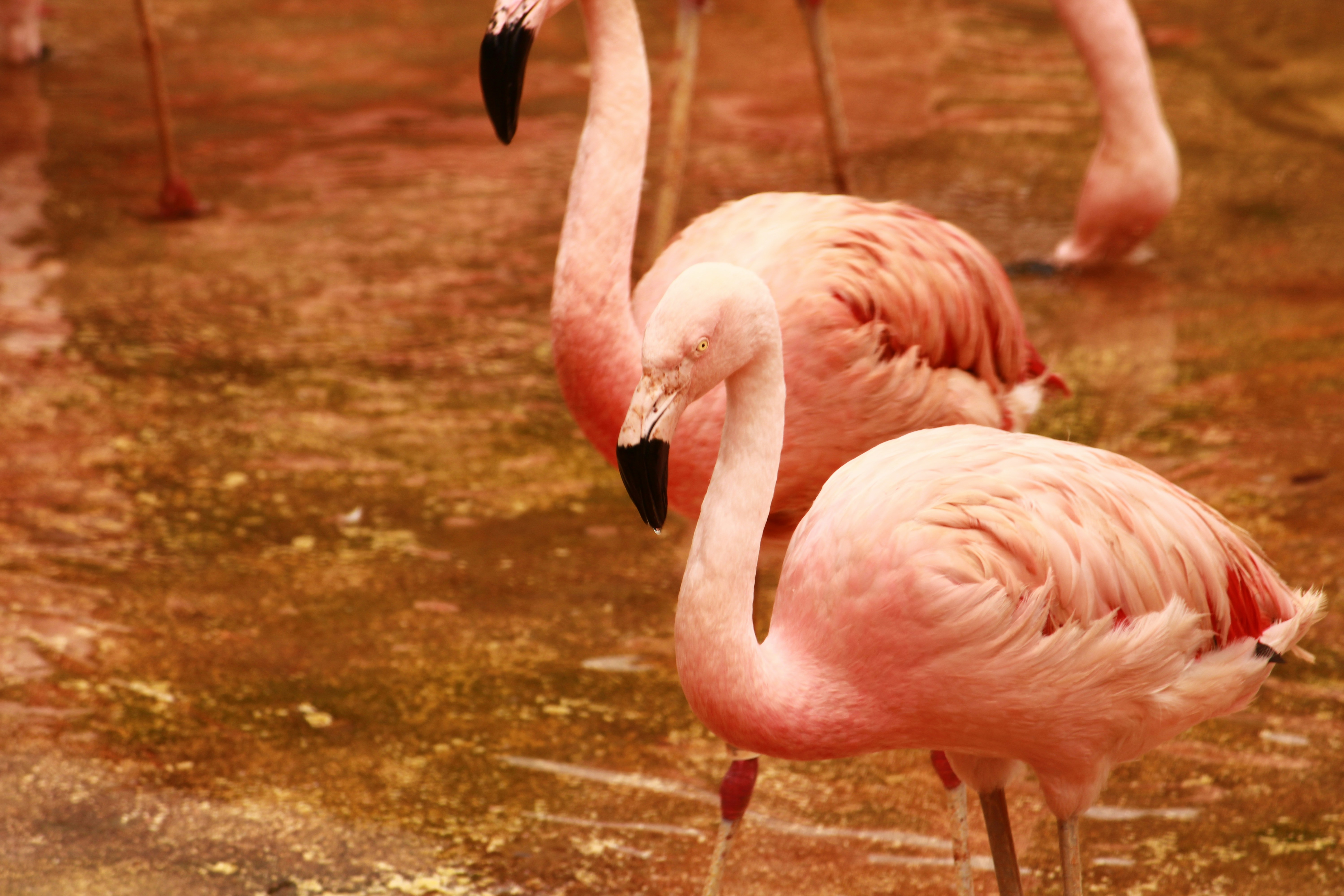 Photo by iamblondfox