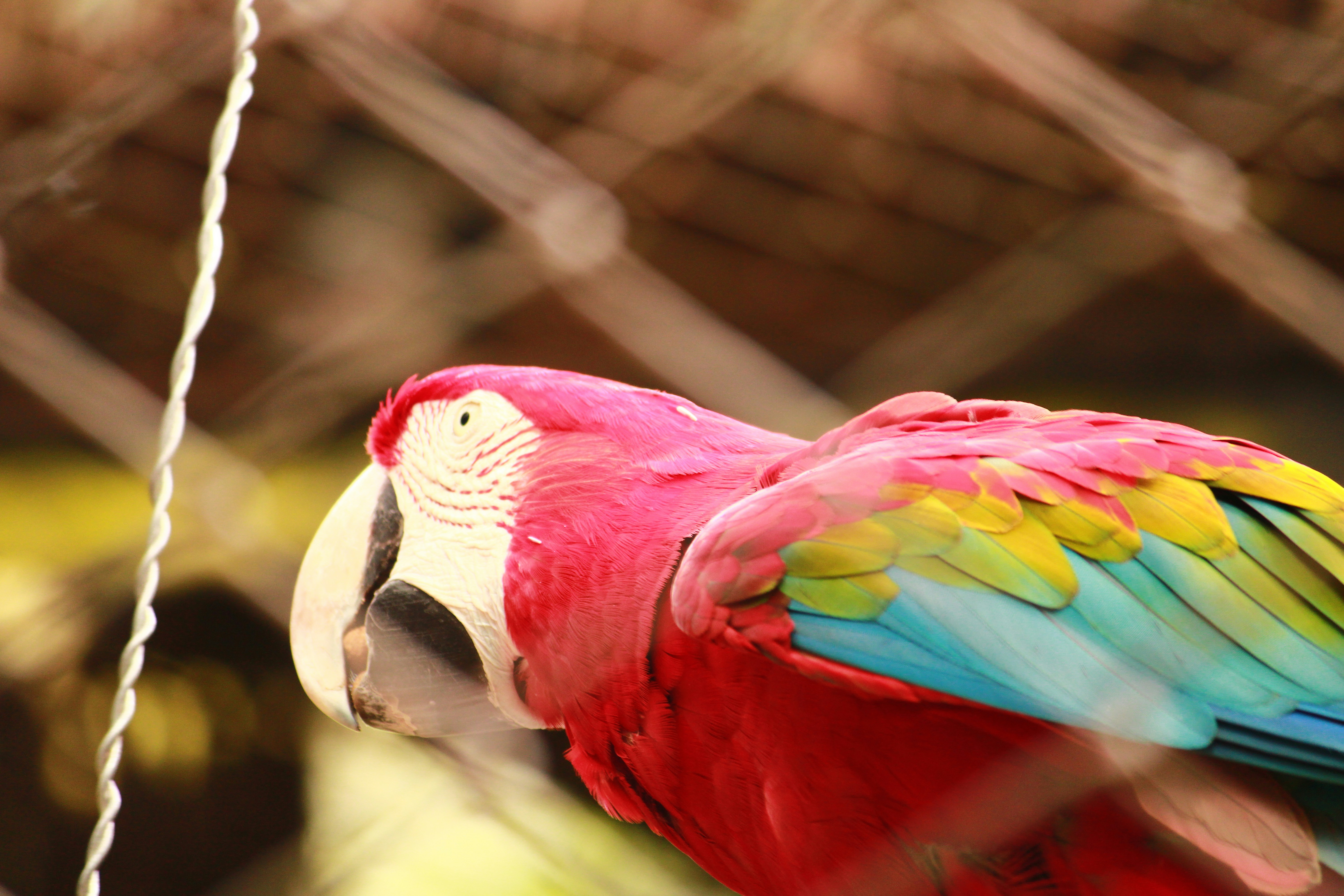 Photo by iamblondfox