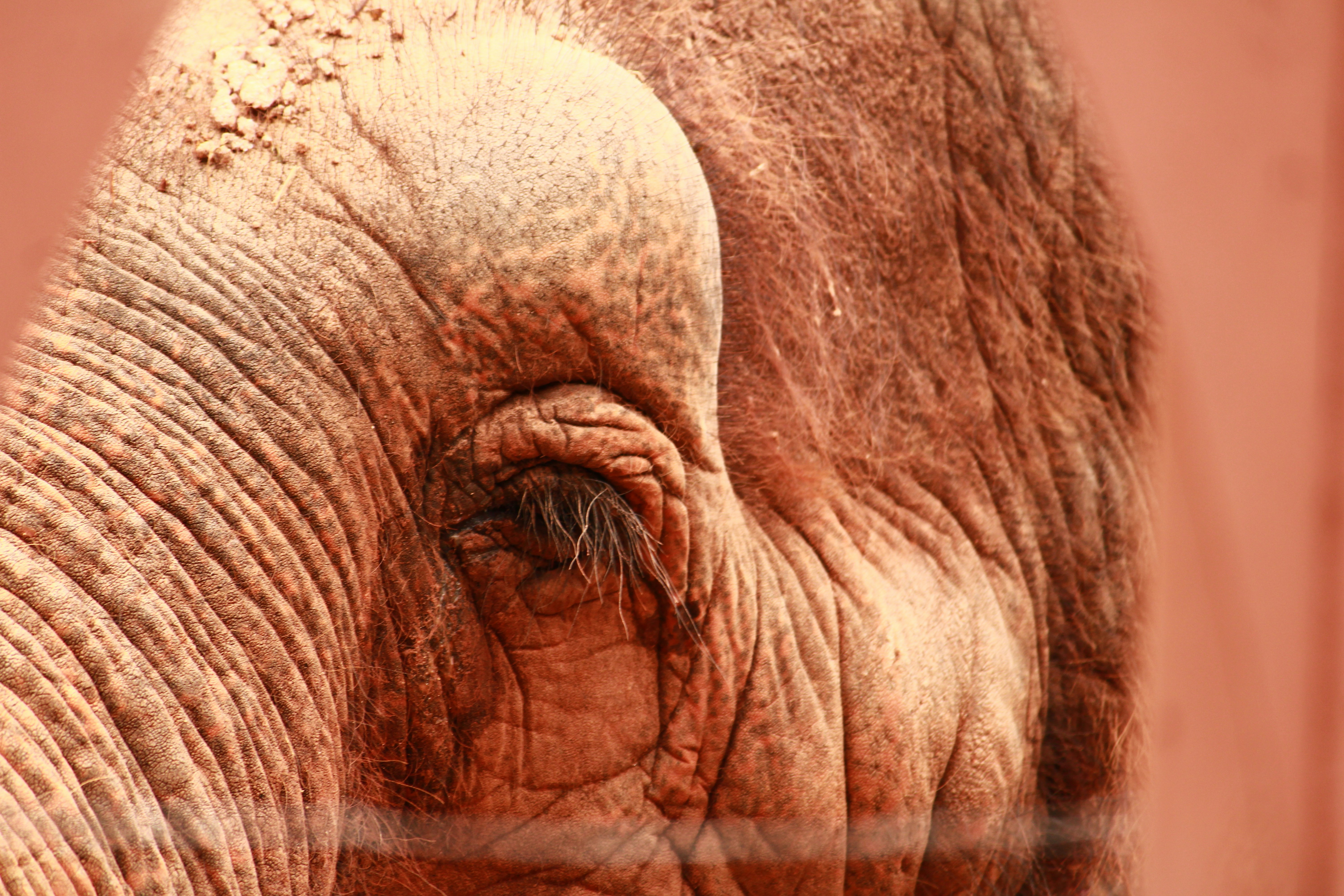 Photo by iamblondfox