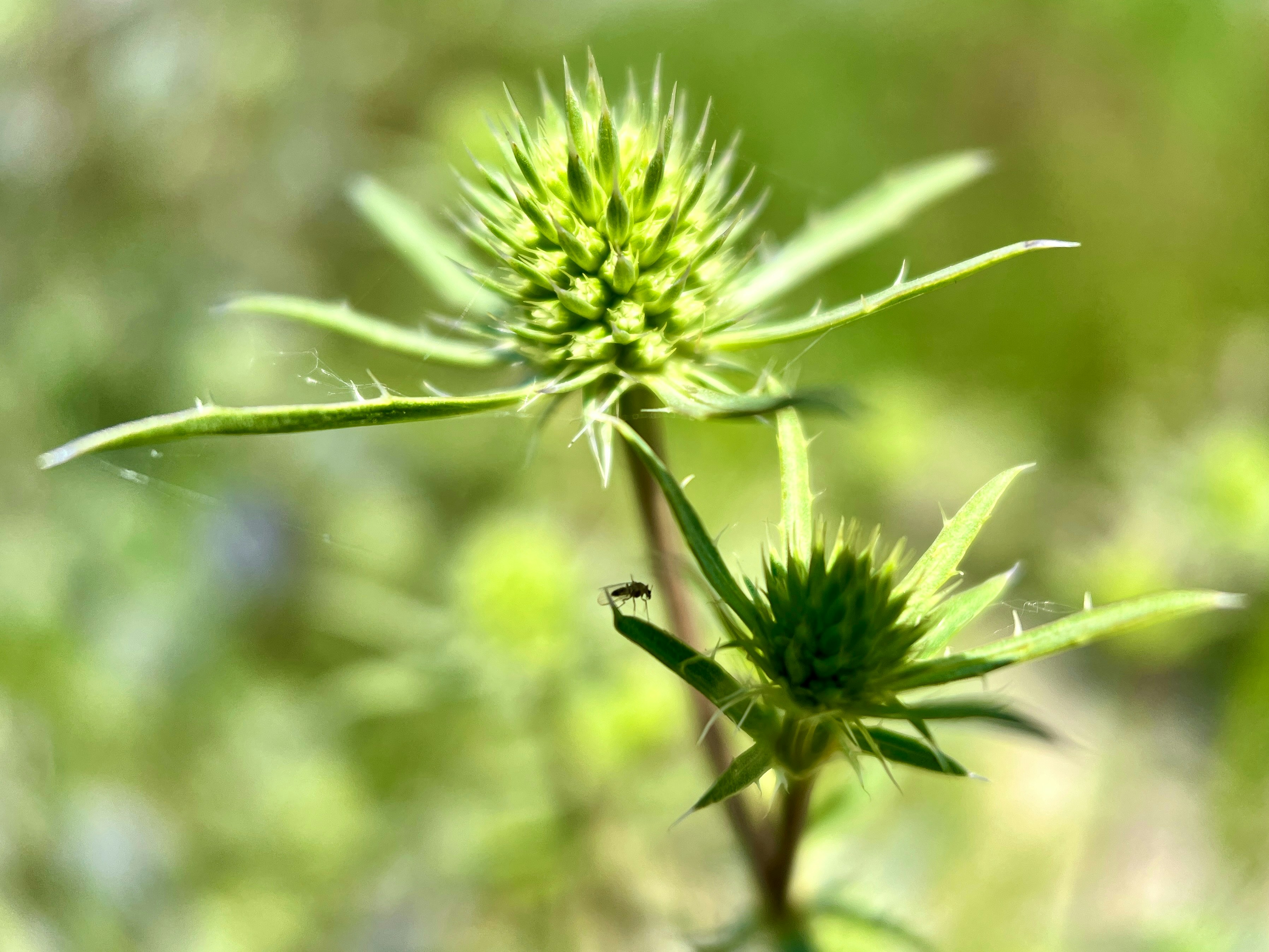 Photo by annie_kramer74