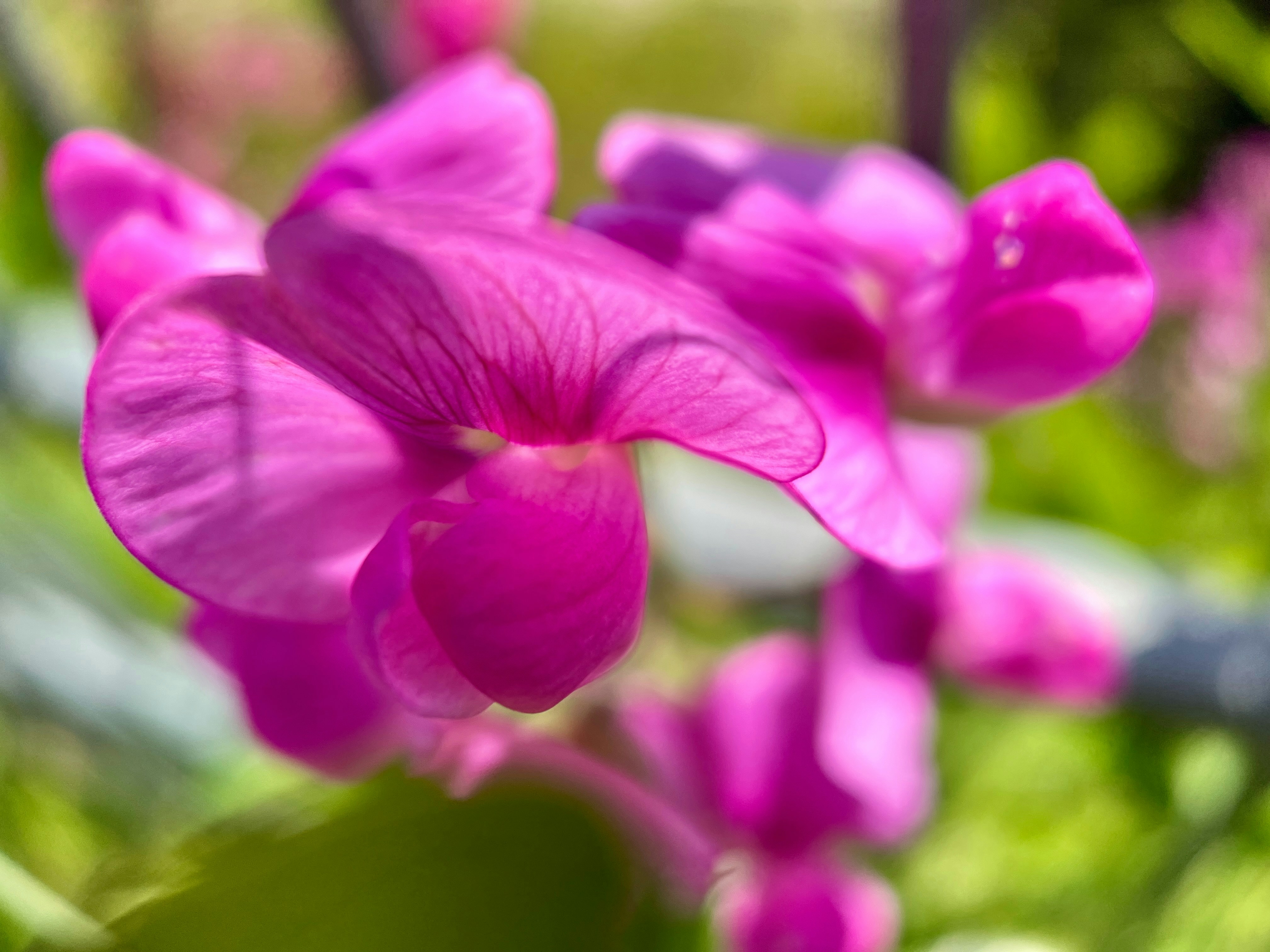 Photo by annie_kramer74