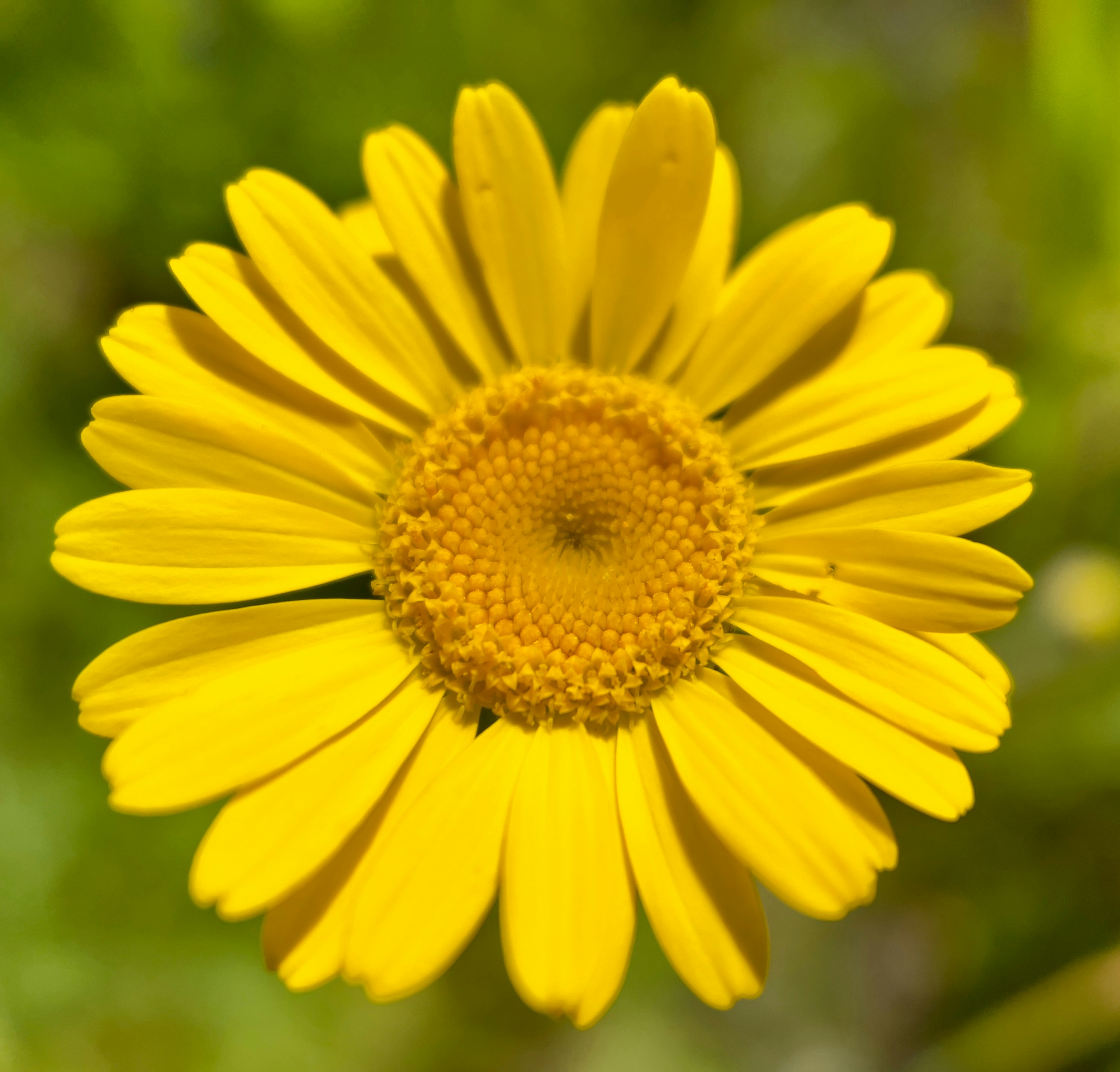 Photo by annie_kramer74