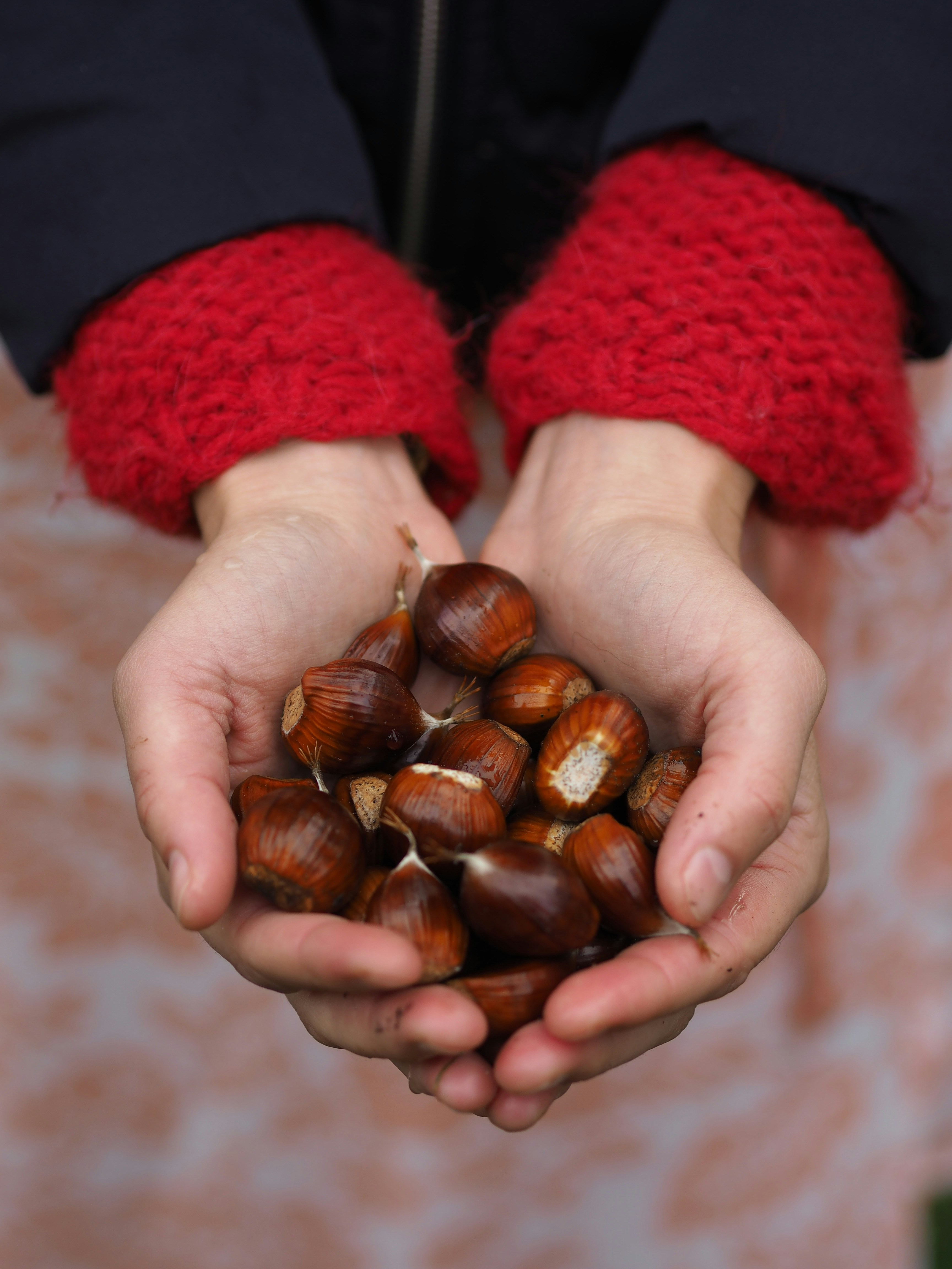 a person holding some nuts in their hands
