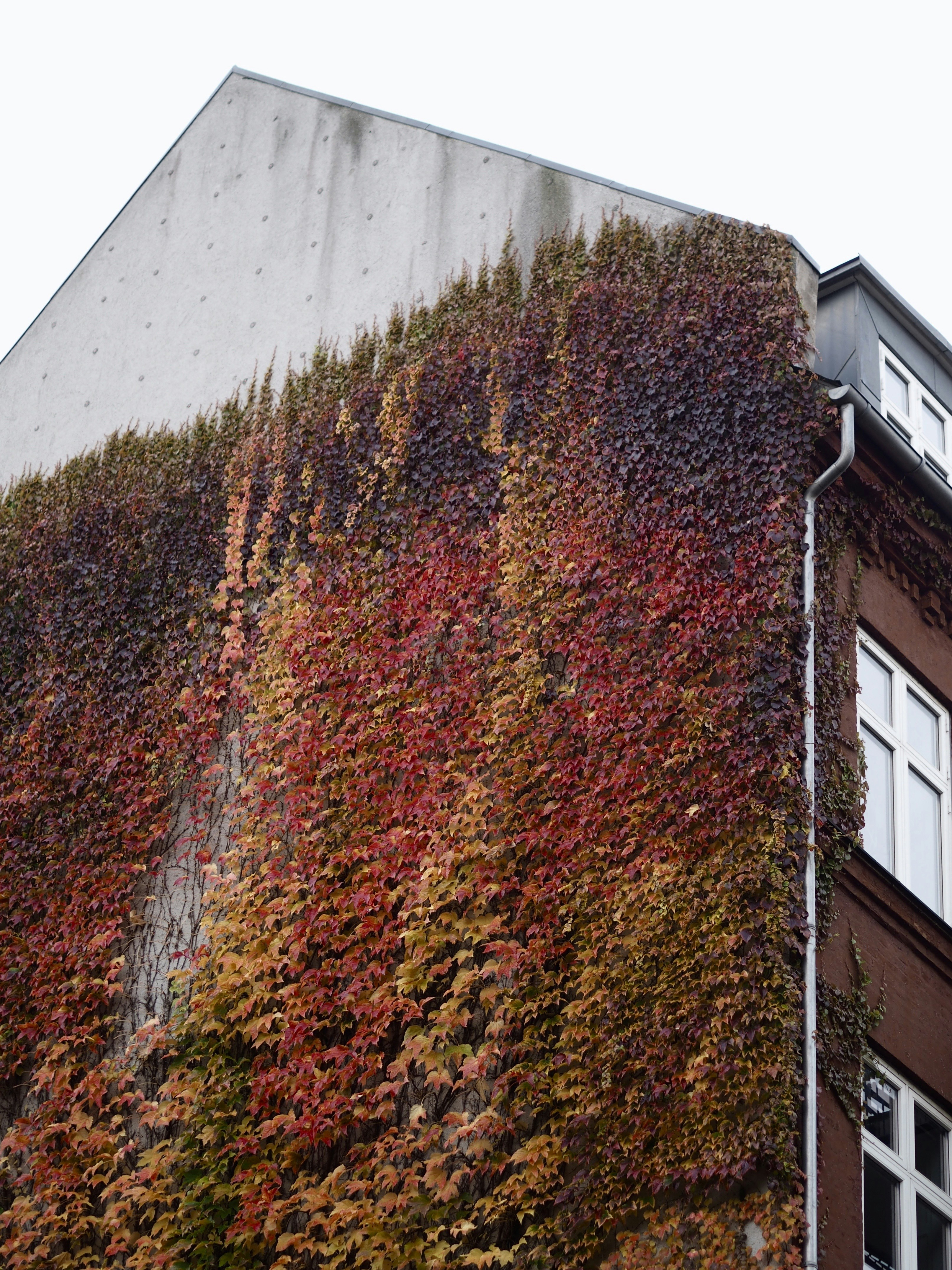 a very tall building covered in lots of plants