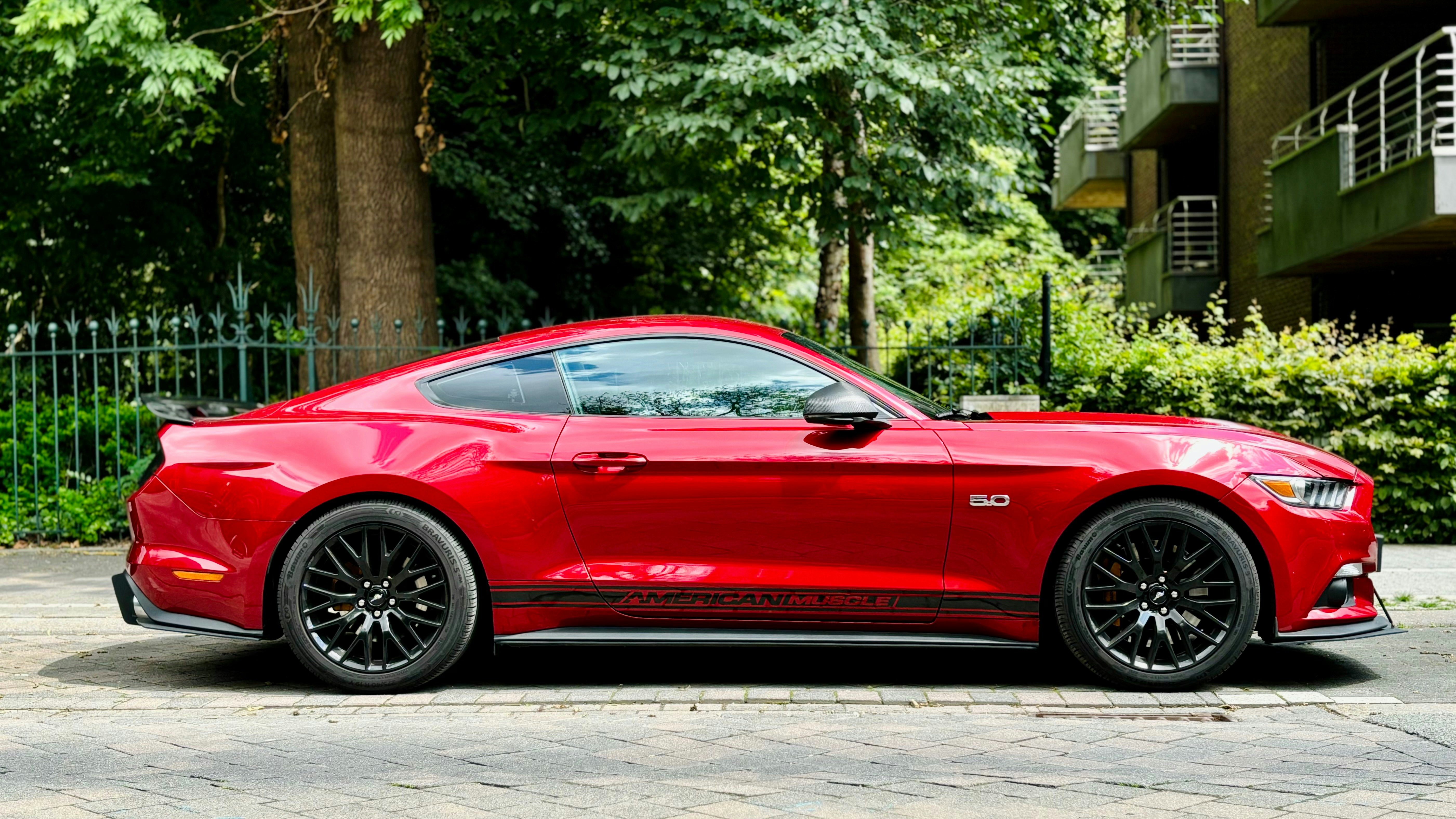 Photo by mehrdadbadiei