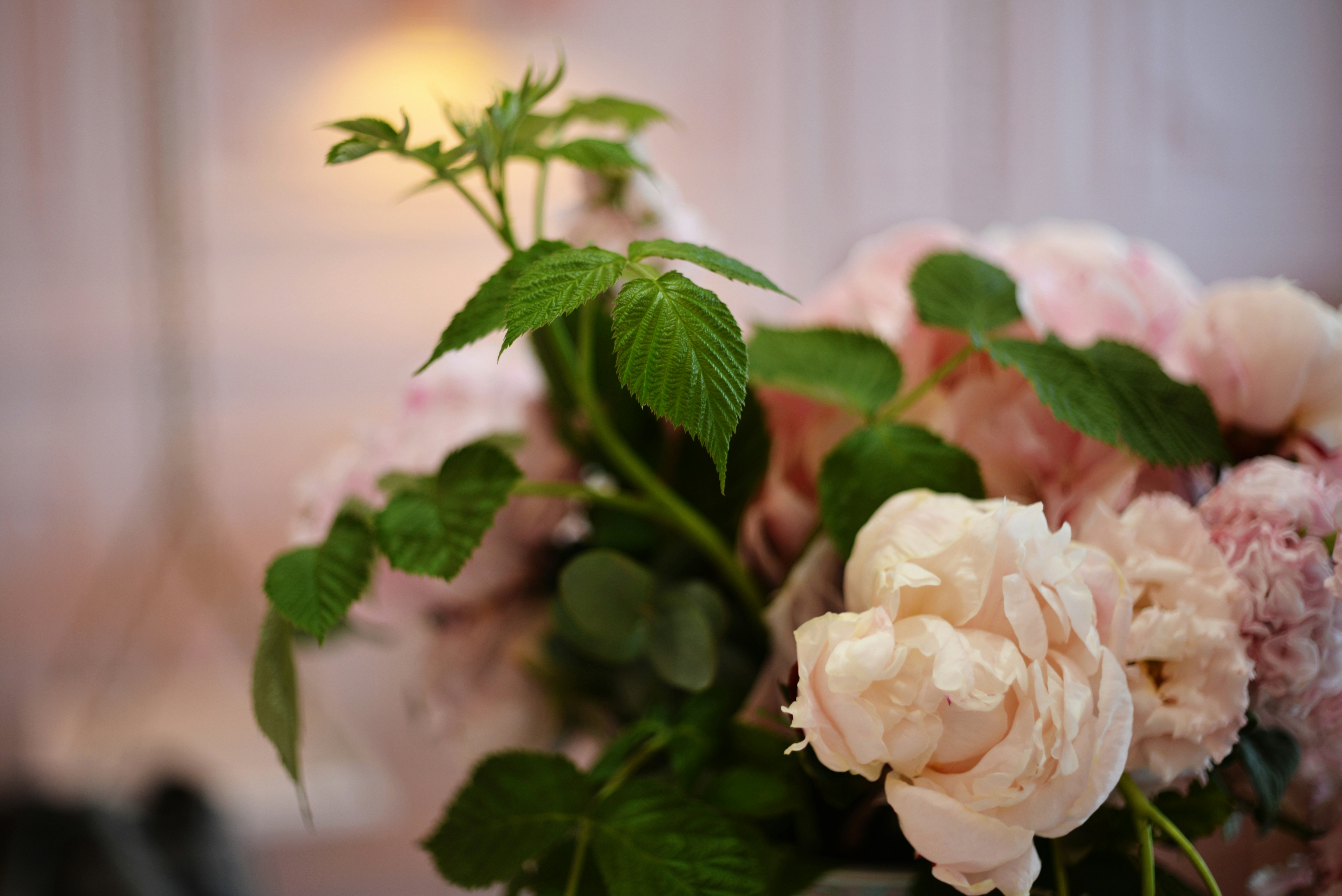 Photo by cherstve_pechivo